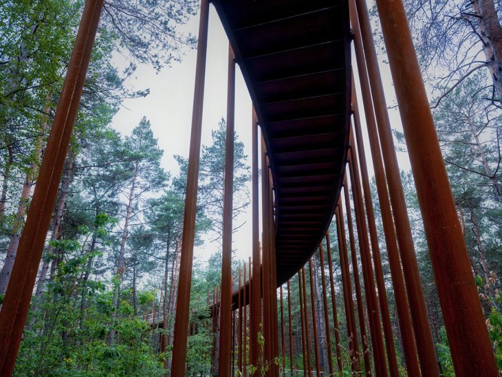 Unusual bike path in the middle of the forest in Belgium - Belgium, Bike path, Video, Longpost