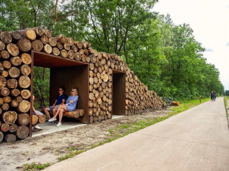 Unusual bike path in the middle of the forest in Belgium - Belgium, Bike path, Video, Longpost