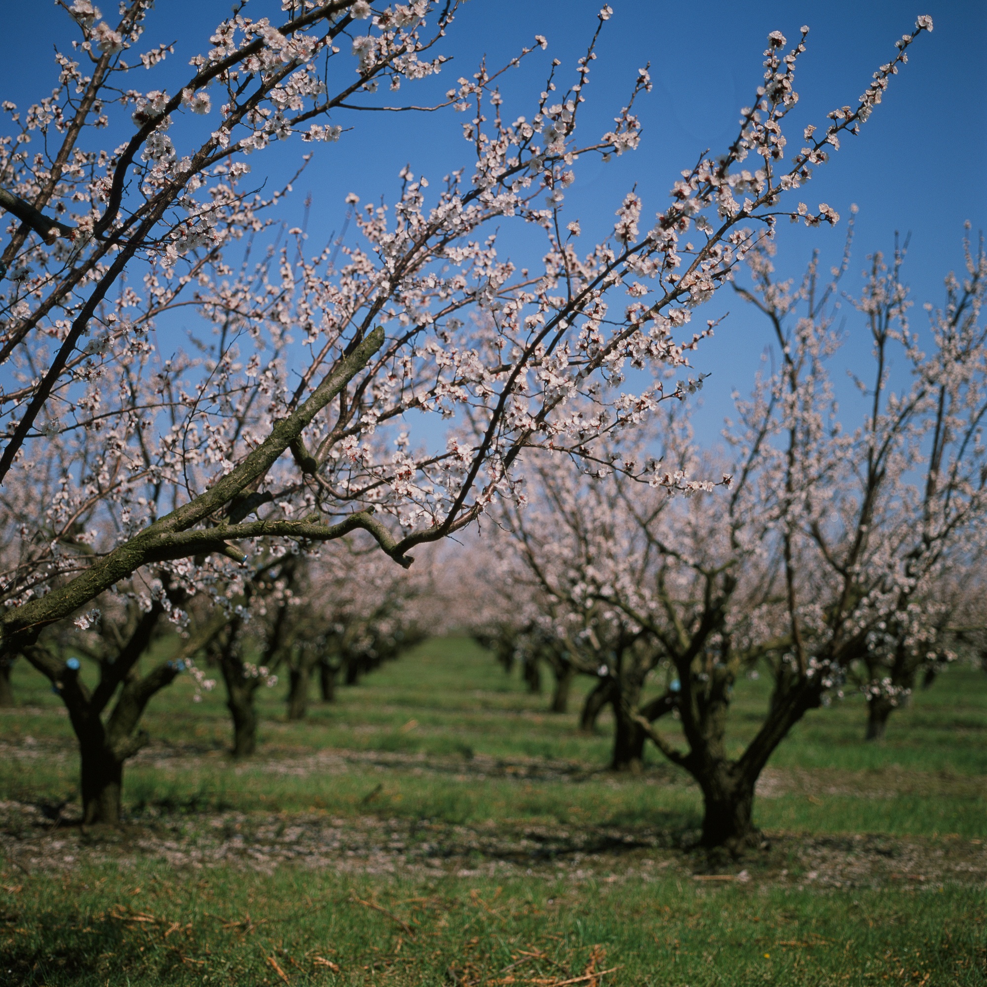 My second slide - My, Medium format, Fujifilm