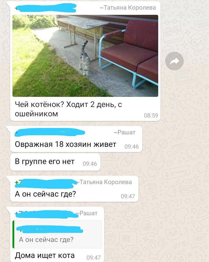 Типичные будни деревенского чата - Моё, Деревня, Чат, Whatsapp, Типичные будни, Длиннопост