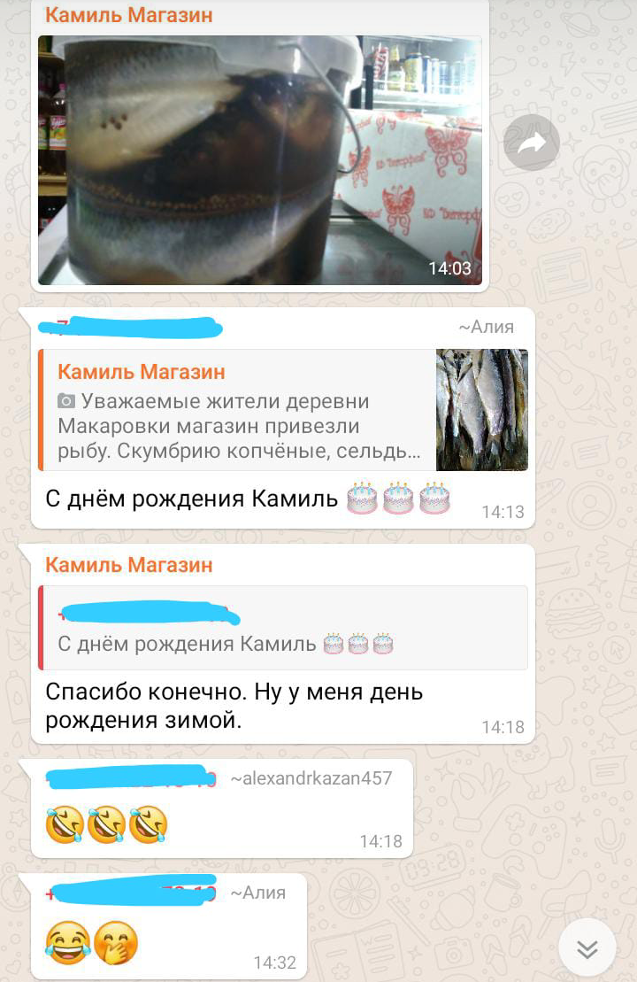 Типичные будни деревенского чата - Моё, Деревня, Чат, Whatsapp, Типичные будни, Длиннопост