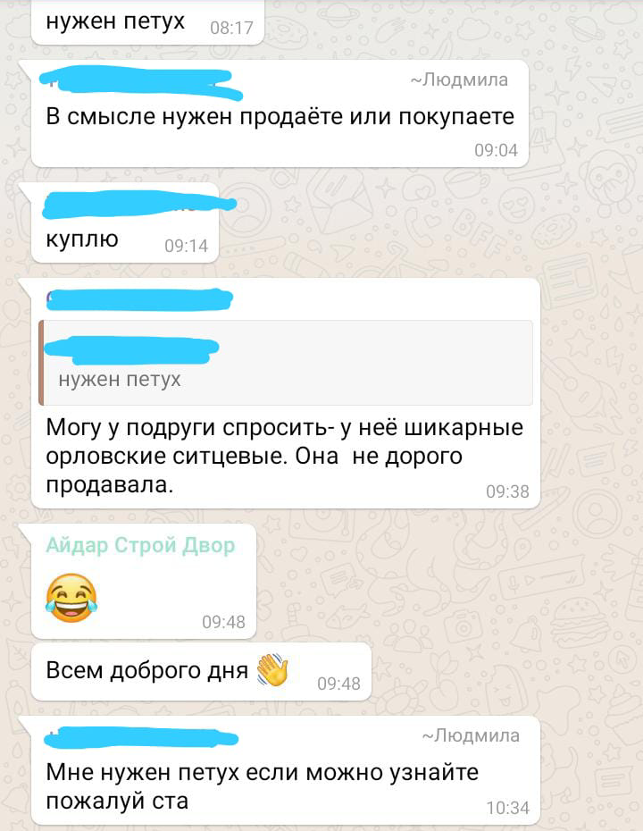 Типичные будни деревенского чата - Моё, Деревня, Чат, Whatsapp, Типичные будни, Длиннопост