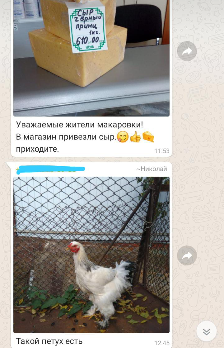 Типичные будни деревенского чата - Моё, Деревня, Чат, Whatsapp, Типичные будни, Длиннопост