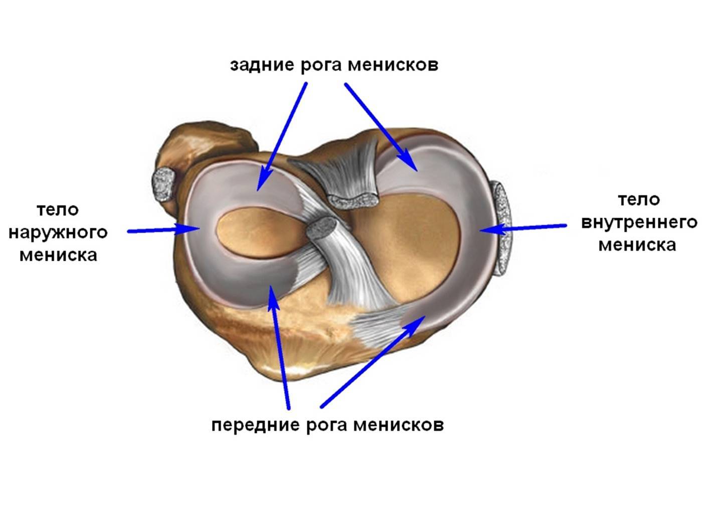 Arthroscopy - My, The medicine, Medicine in Russia, Longpost, Arthroscopy