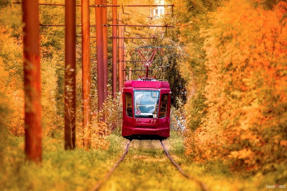 Autumn tram - Tram, Autumn, The photo, Kazan