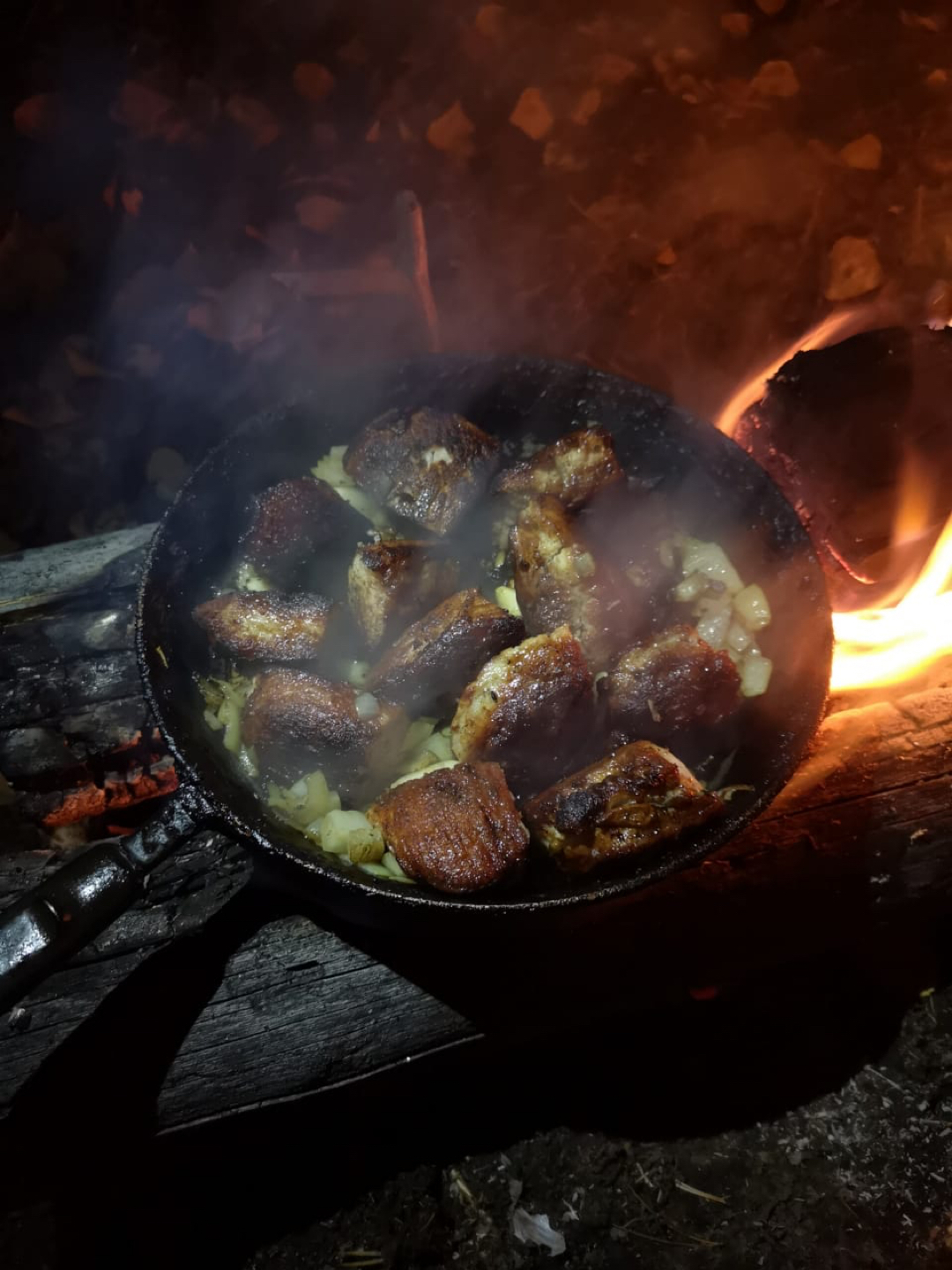 Autumn forest, knots and steaks - My, Forest, Autumn, Night, Steak, Meat, Nodia, Cooking in nature, Longpost
