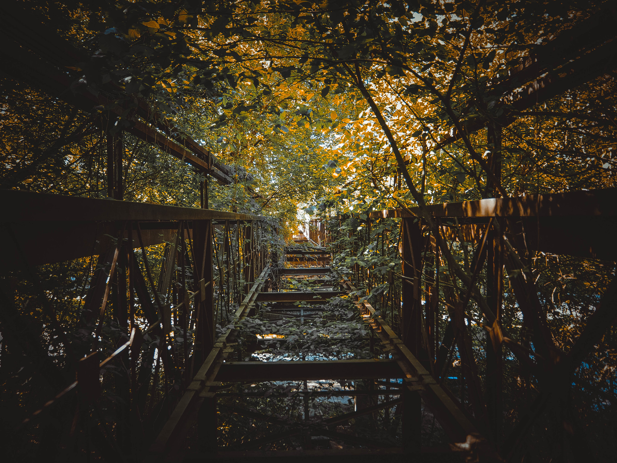 Lithuanian autumn - My, Autumn, The photo, Beginning photographer