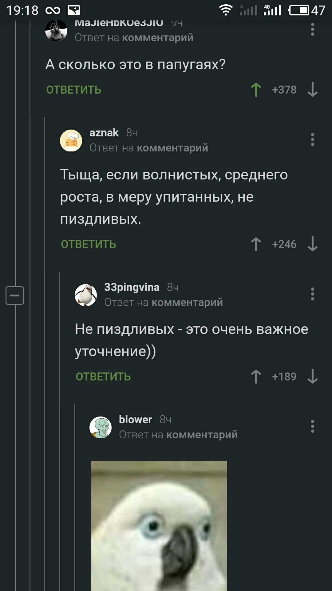 Сколько это в попугаях? - Попугай, Поезд, Комментарии на Пикабу, Скриншот, Длиннопост