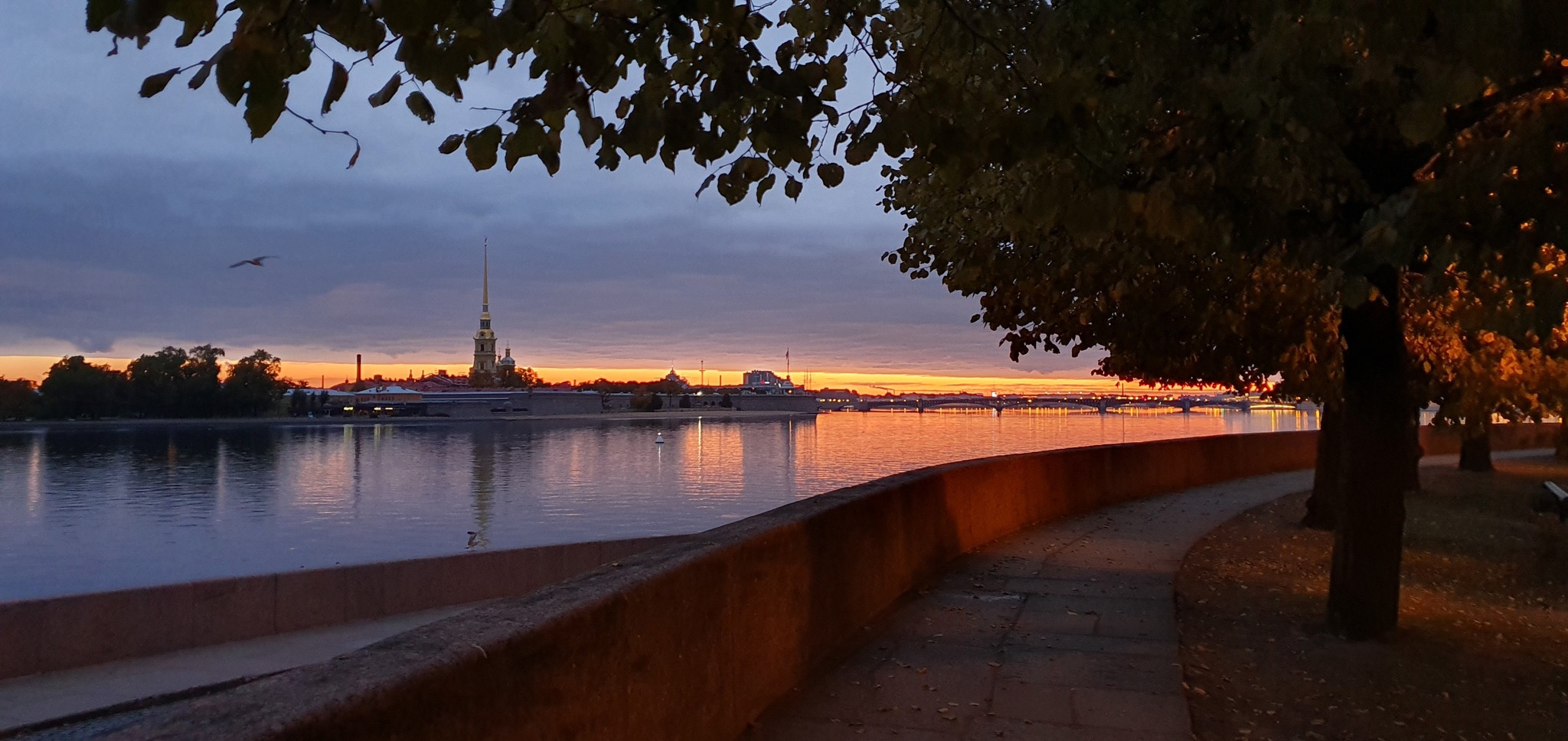 Autumn in St. Petersburg - My, Saint Petersburg, Autumn, First post, Longpost