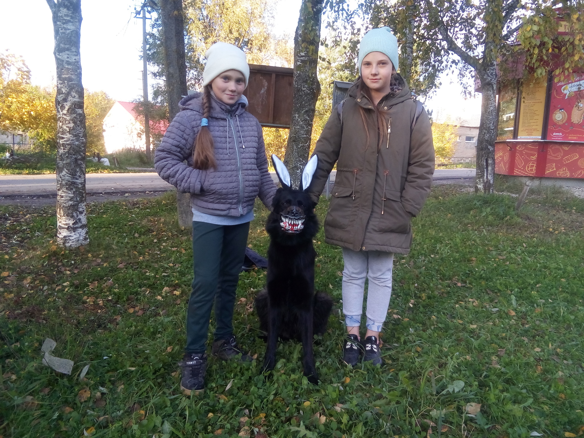 Two types of walks, forest and children) - My, Erika, German Shepherd, Children, Forest, Dog, Longpost