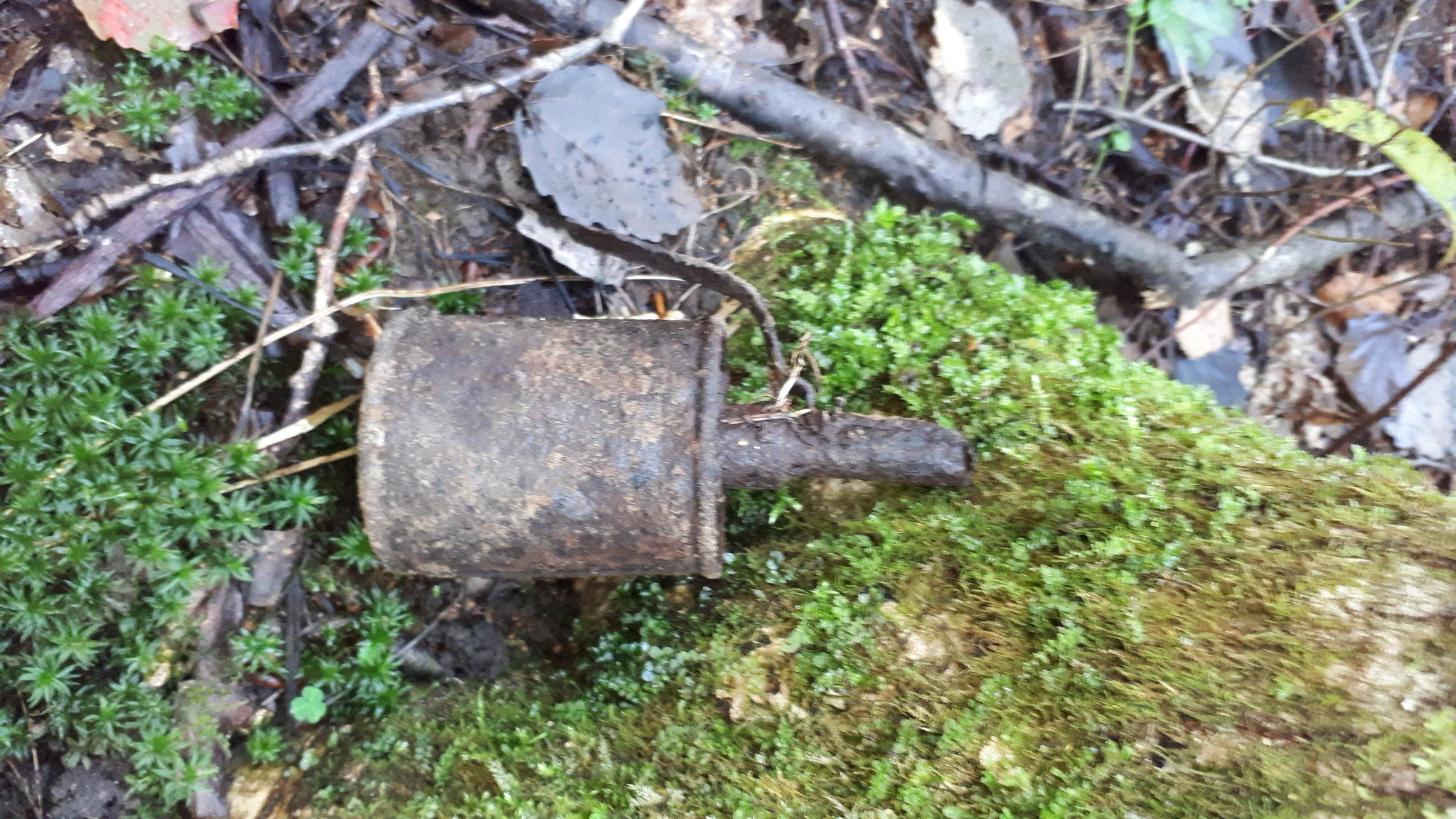 Walking in the autumn forest with a metal detector - My, Hobby, Treasure hunter, Longpost, Treasure hunt