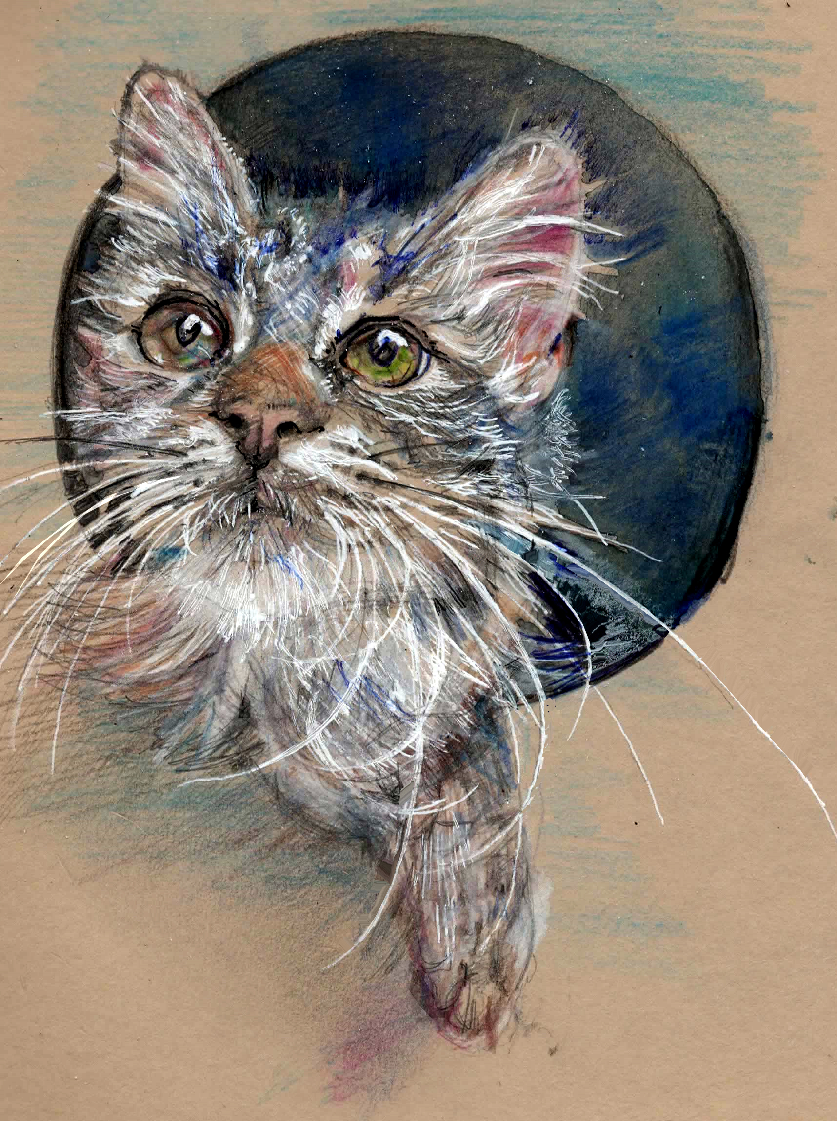 cat - My, cat, Drawing, Pencil