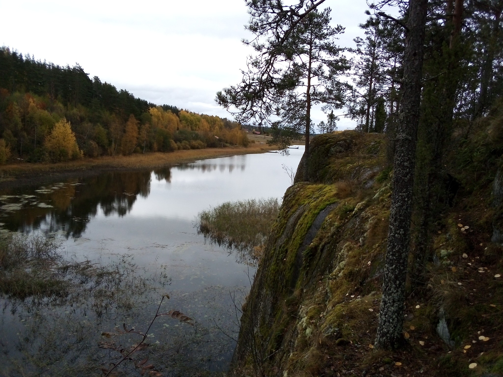 Autumn Karelia - My, Autumn, Republic of Karelia, Ladoga lake, Longpost, The photo, Nature, Карелия