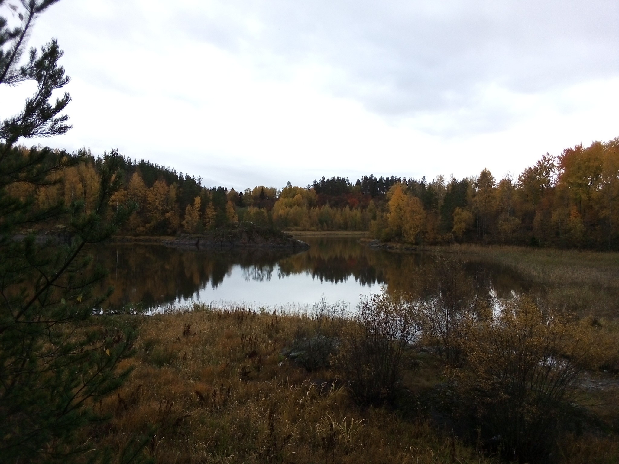 Autumn Karelia - My, Autumn, Republic of Karelia, Ladoga lake, Longpost, The photo, Nature, Карелия