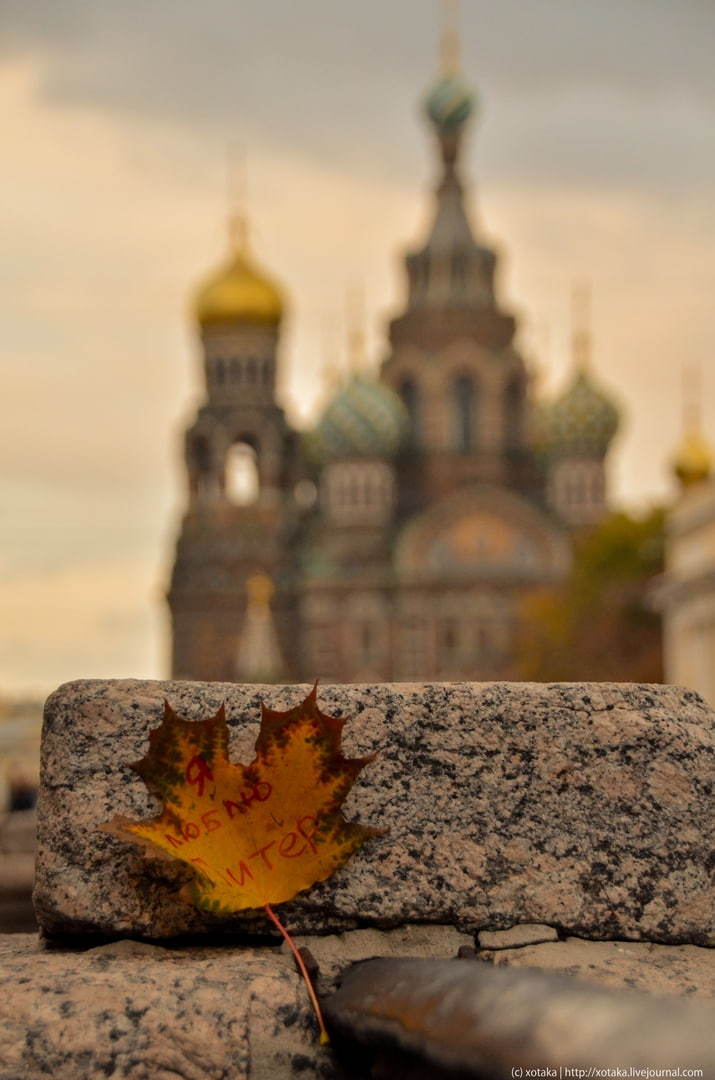 And in St. Petersburg autumn ... - My, Saint Petersburg, The photo, Town, Walk, Beginning photographer, Megapolis, Longpost