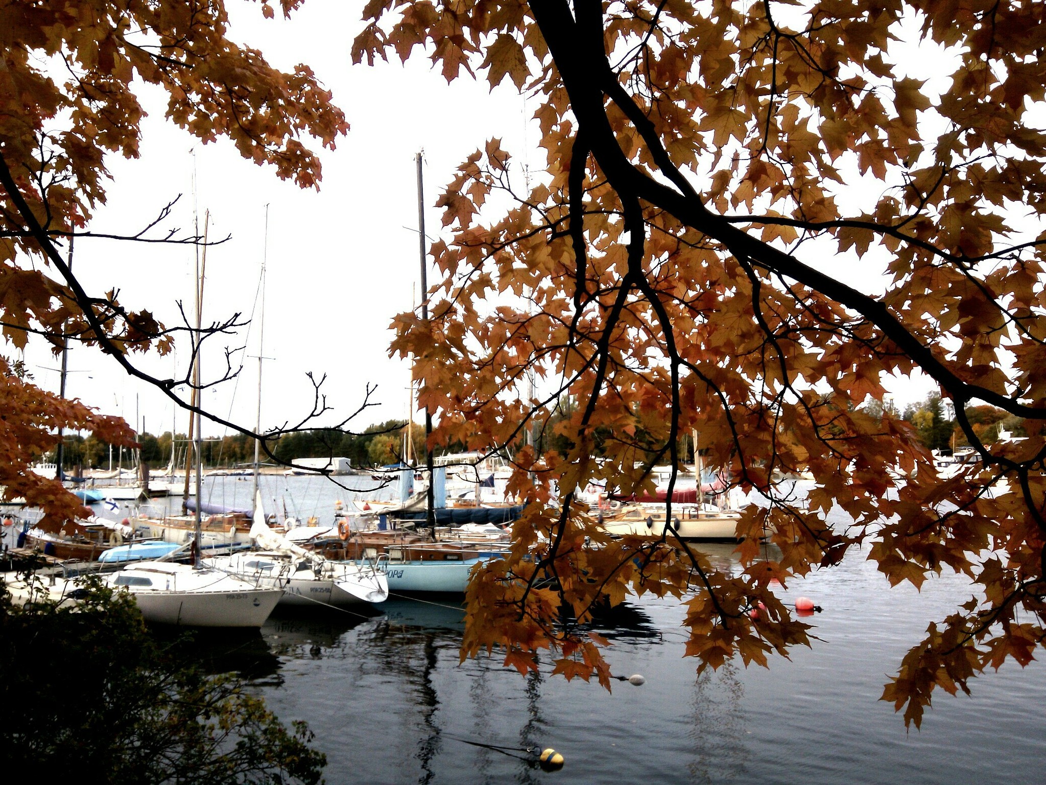 Autumn in St. Petersburg. - My, Autumn, Yacht, Longpost