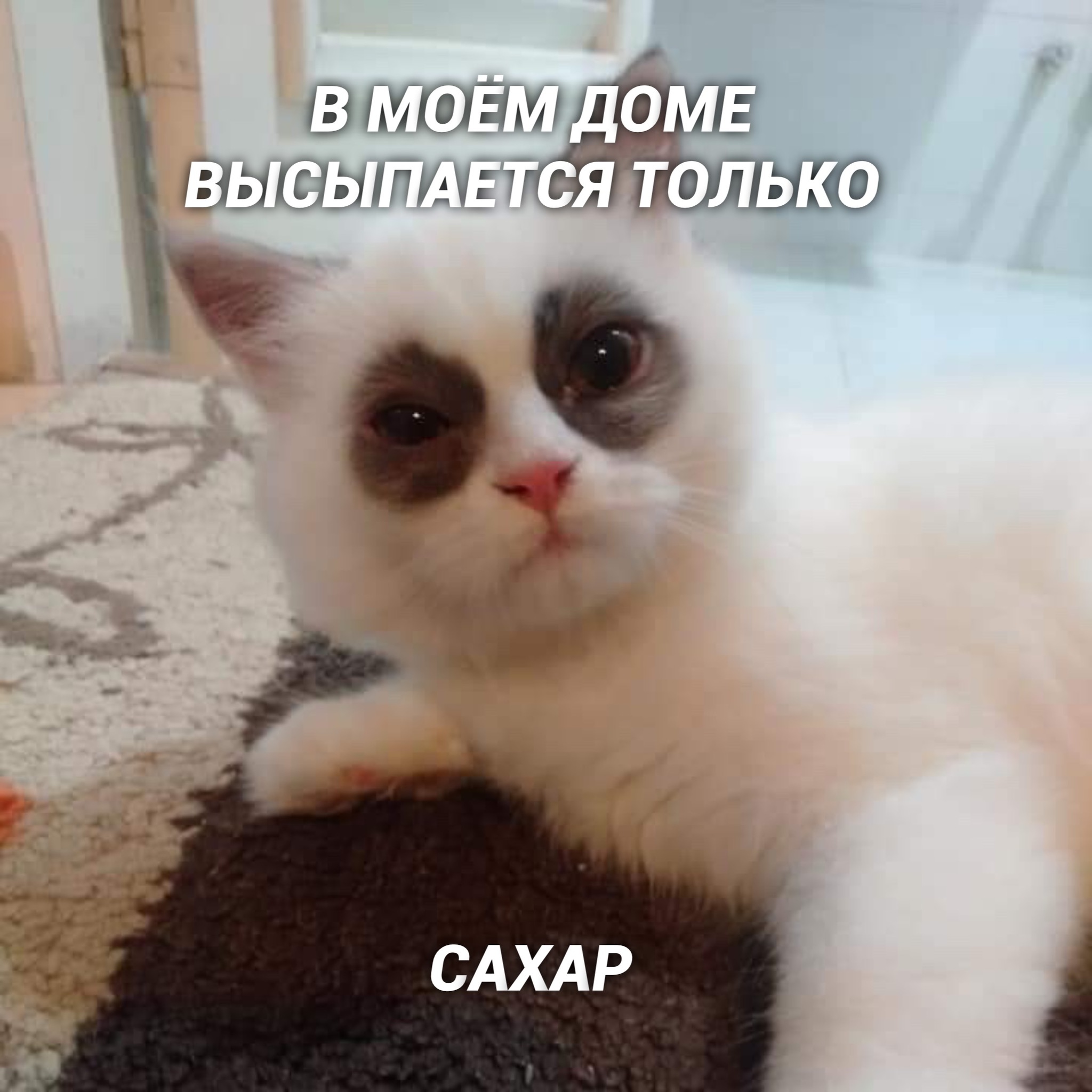 Коротко обо мне | Пикабу