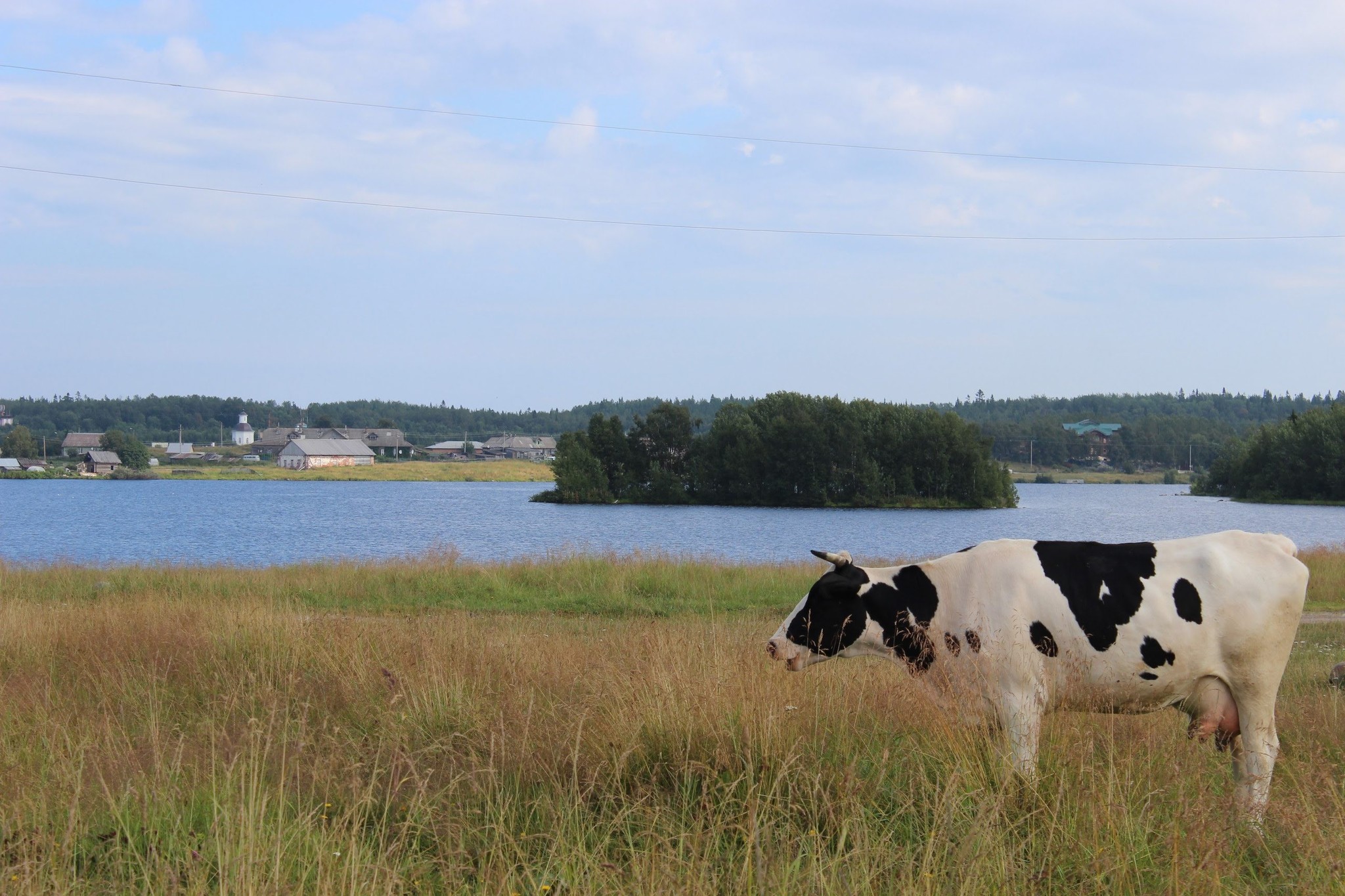 A couple of photos from a trip to the Solovki. - My, Solovki, Карелия, Photo on sneaker, Longpost