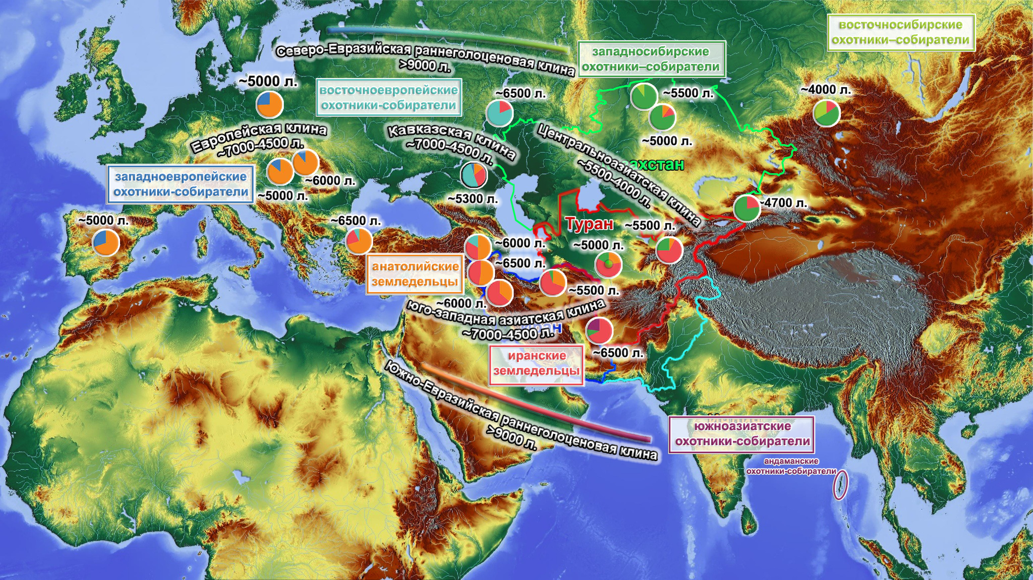 Population history of Central and South Asia according to ancient DNA - My, The science, Story, Population genetics, India, Southern Asia, Central Asia, Video, Longpost, Indo-Europeans, GIF