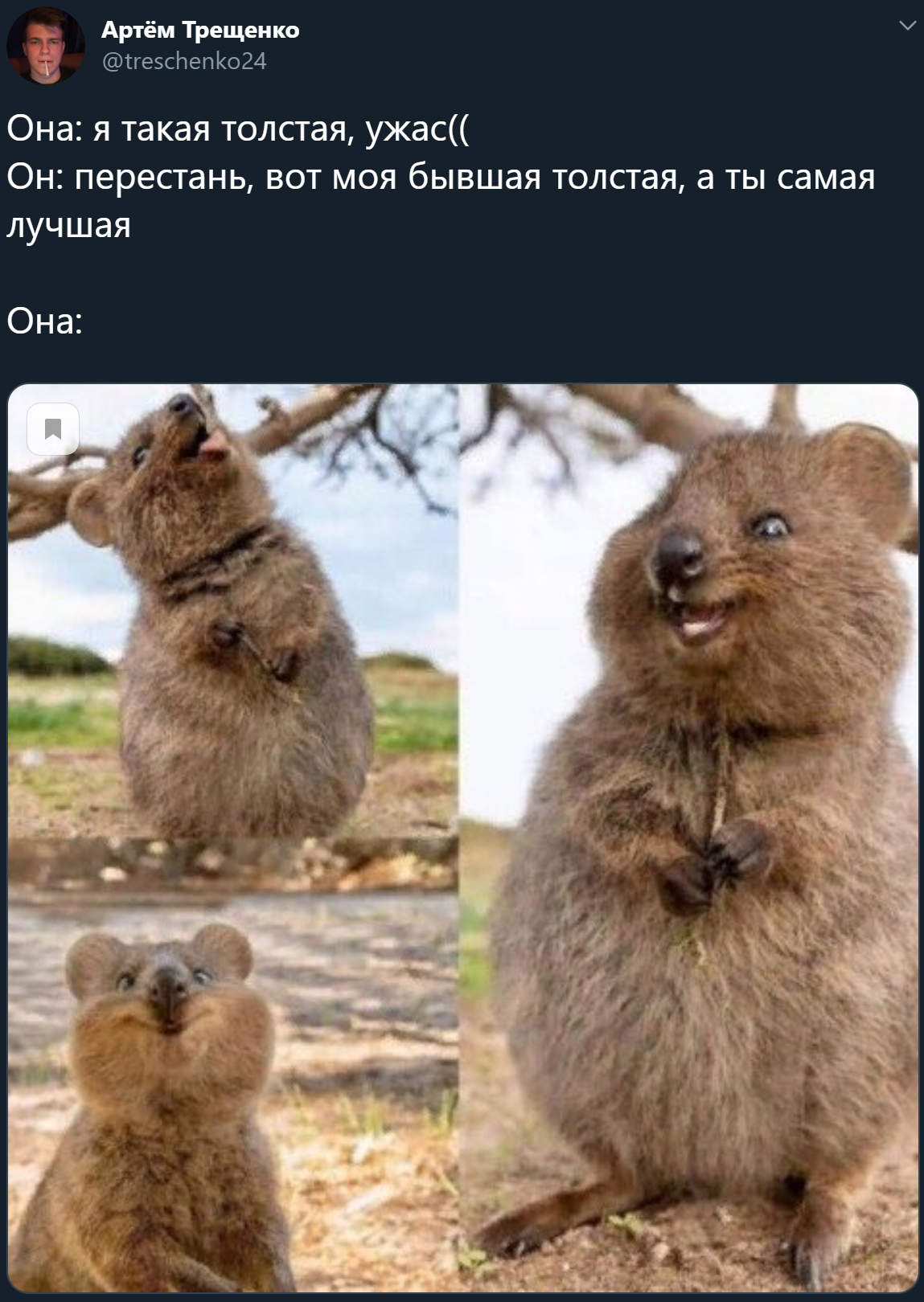 About flattery - Twitter, Screenshot, Memes, Flattery, Quokka, Former, Bbw, Former, Fullness