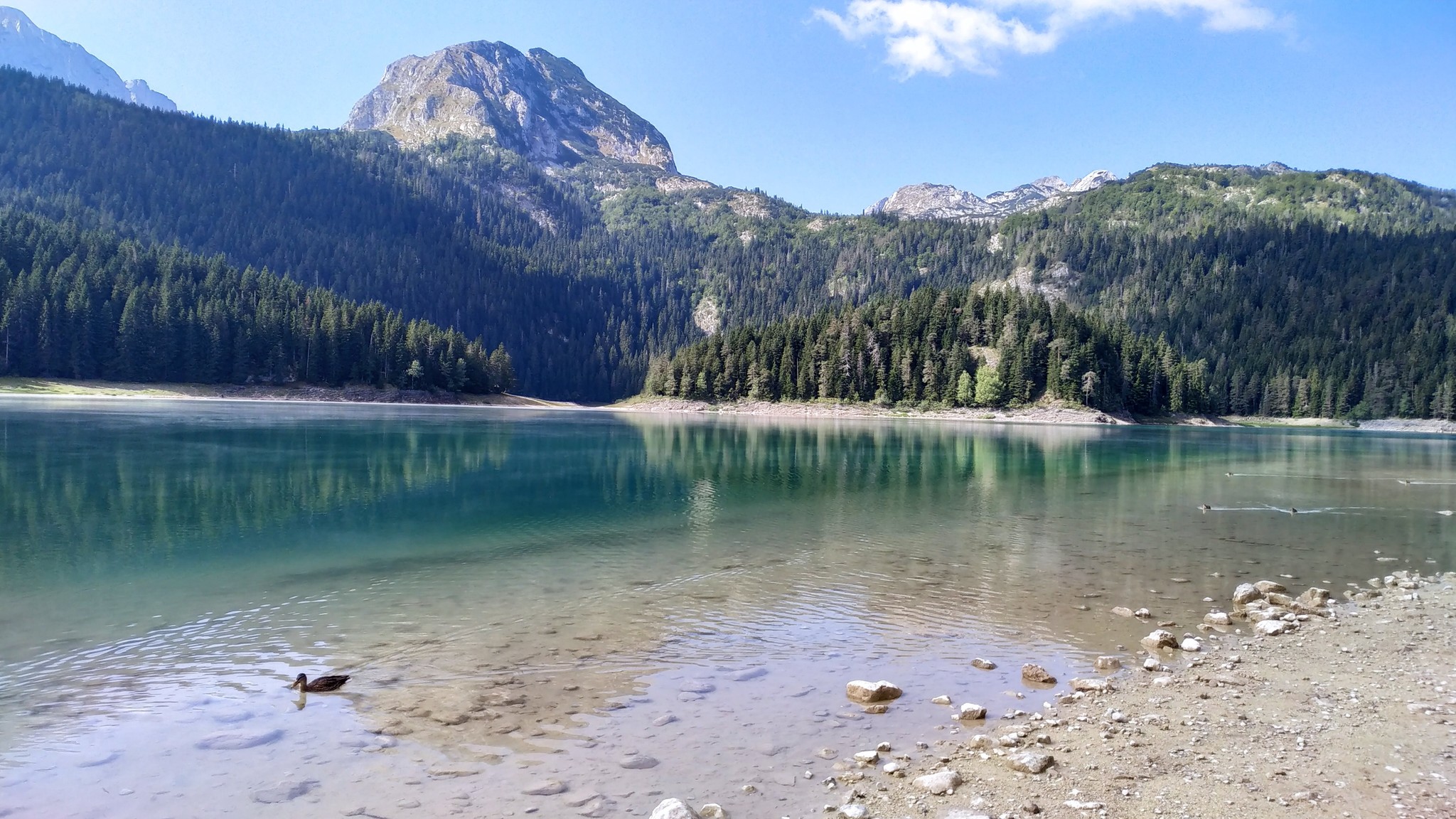 Black Lake, Montenegro - My, Montenegro, Beginning photographer, Longpost, Travels, The photo, Landscape