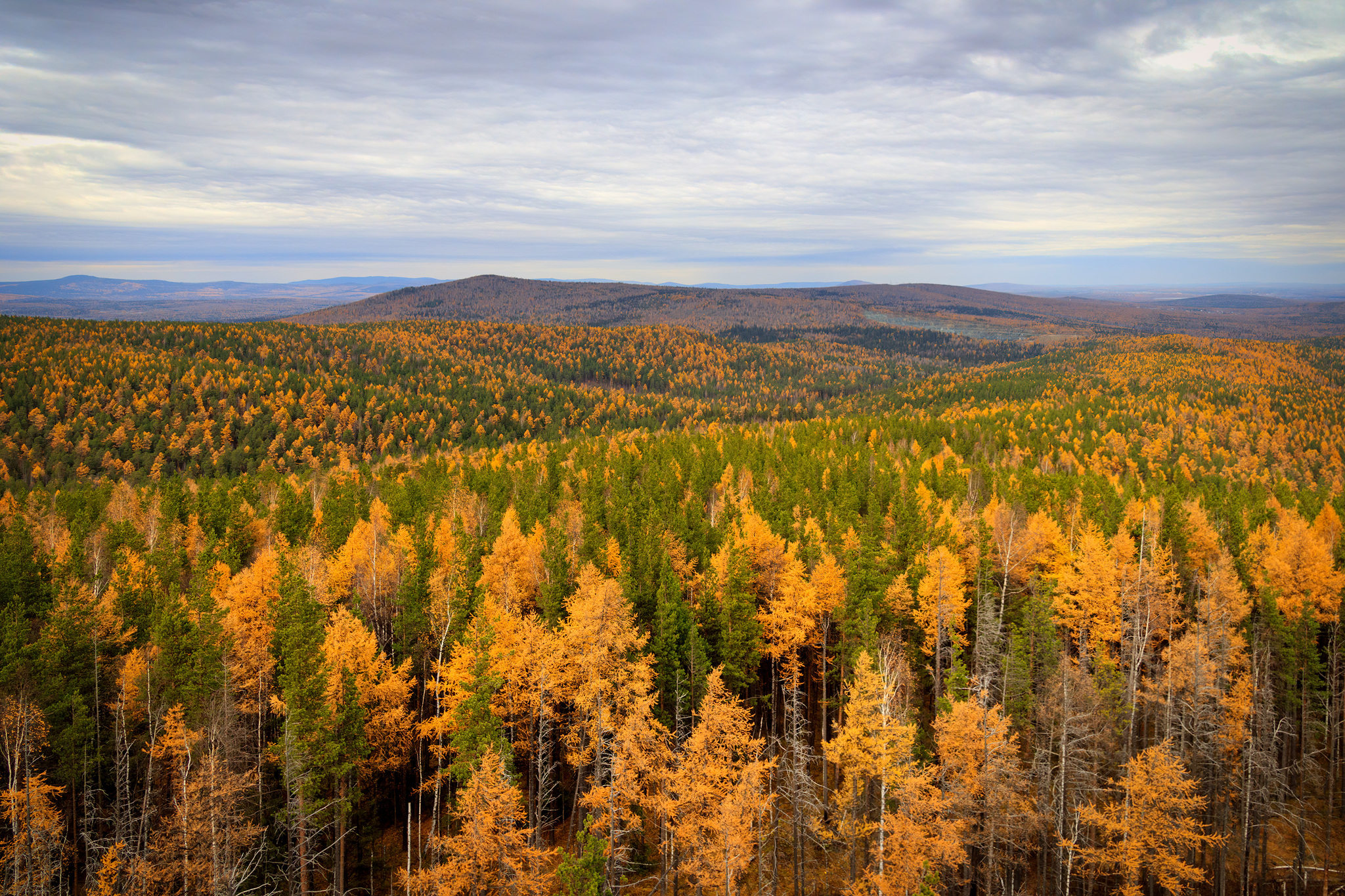 Ural autumn... - My, Autumn, Ural, Novouralsk