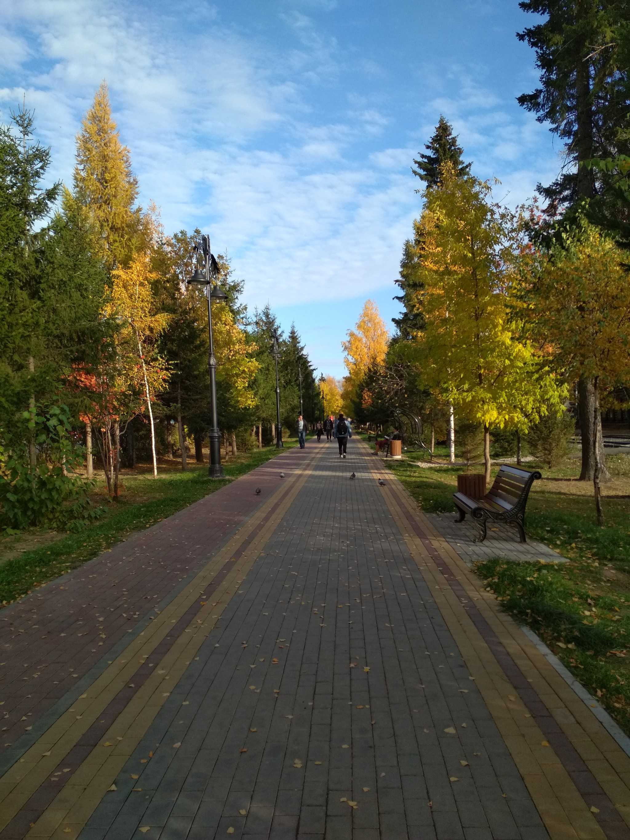 Golden autumn in Tomsk - My, Tomsk, Autumn, City center, Longpost