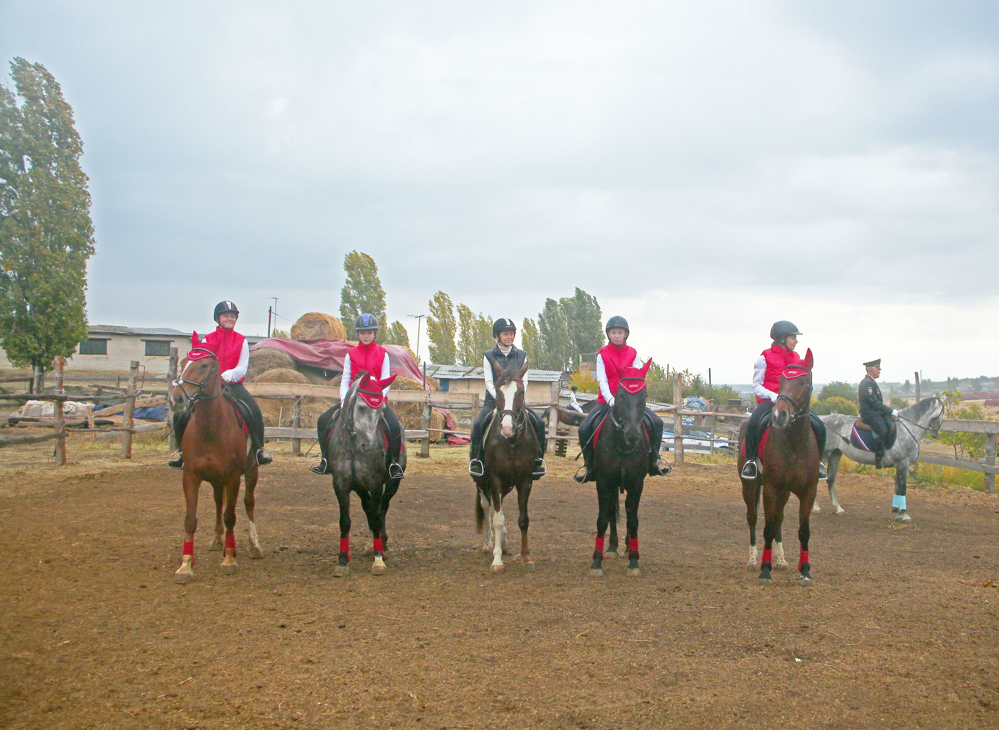 Chronicle of one competition - 2 - My, Horses, Competitions, Horseback Riding, Longpost