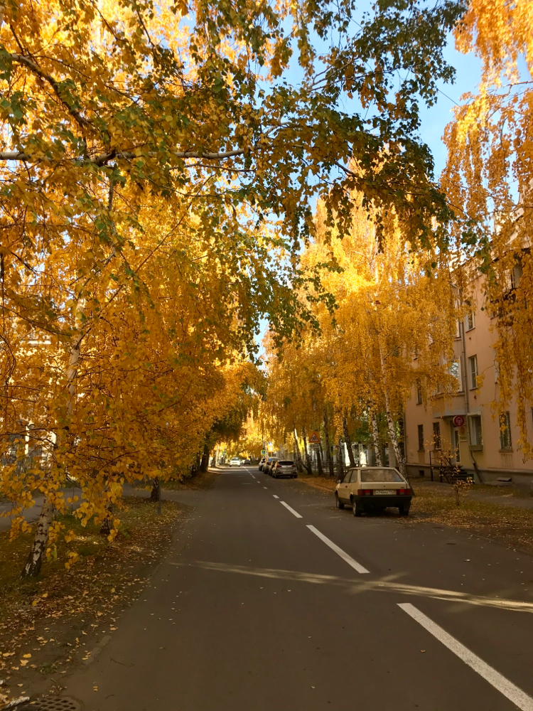 Sorry, couldn't resist - My, Longpost, Magnitogorsk, Autumn, The photo