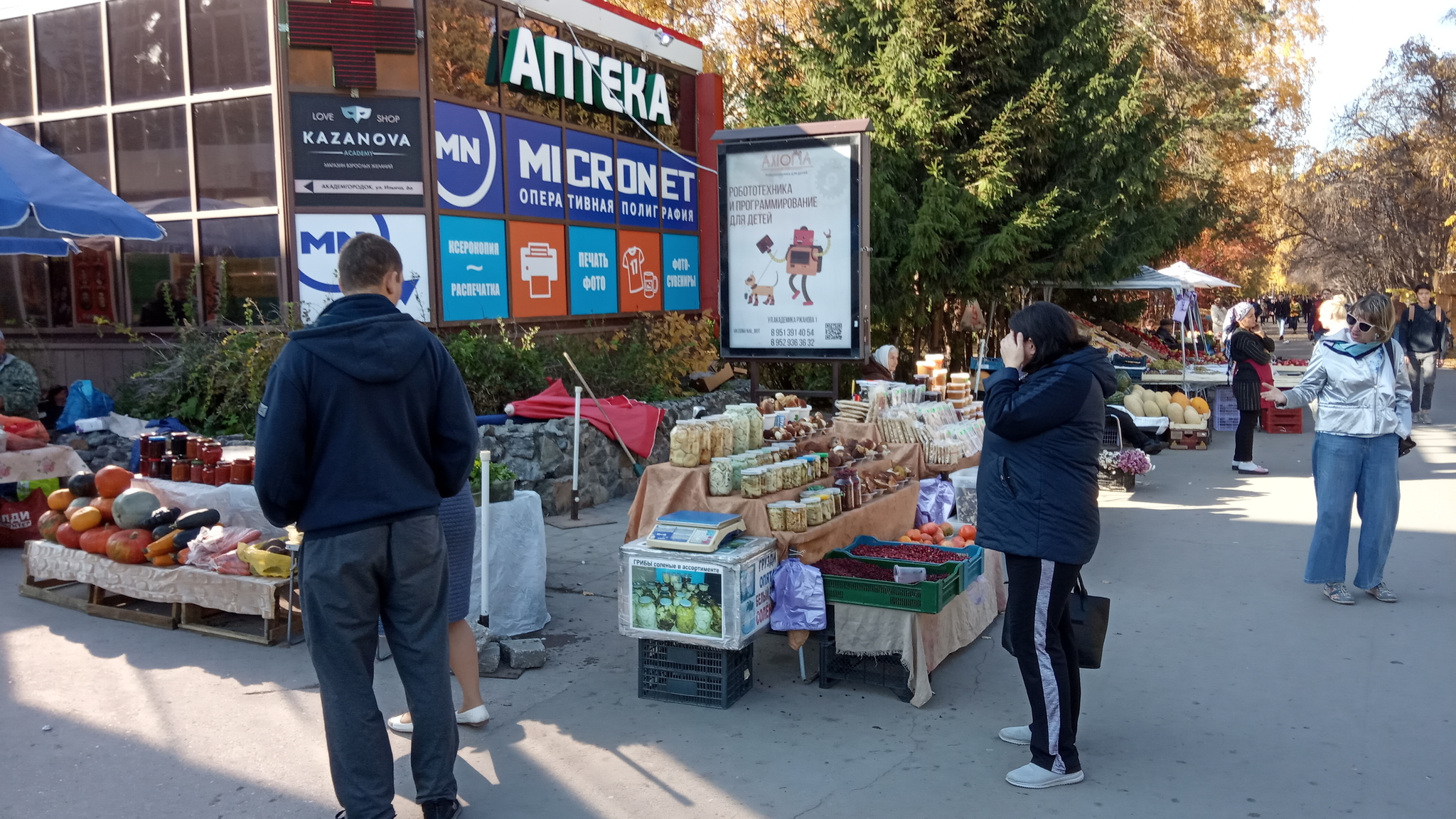 Академгородок осенью 2019 - Моё, Осень, Красота, Академгородок, Дерево, Листья, Новосибирская область, Фотография, Длиннопост