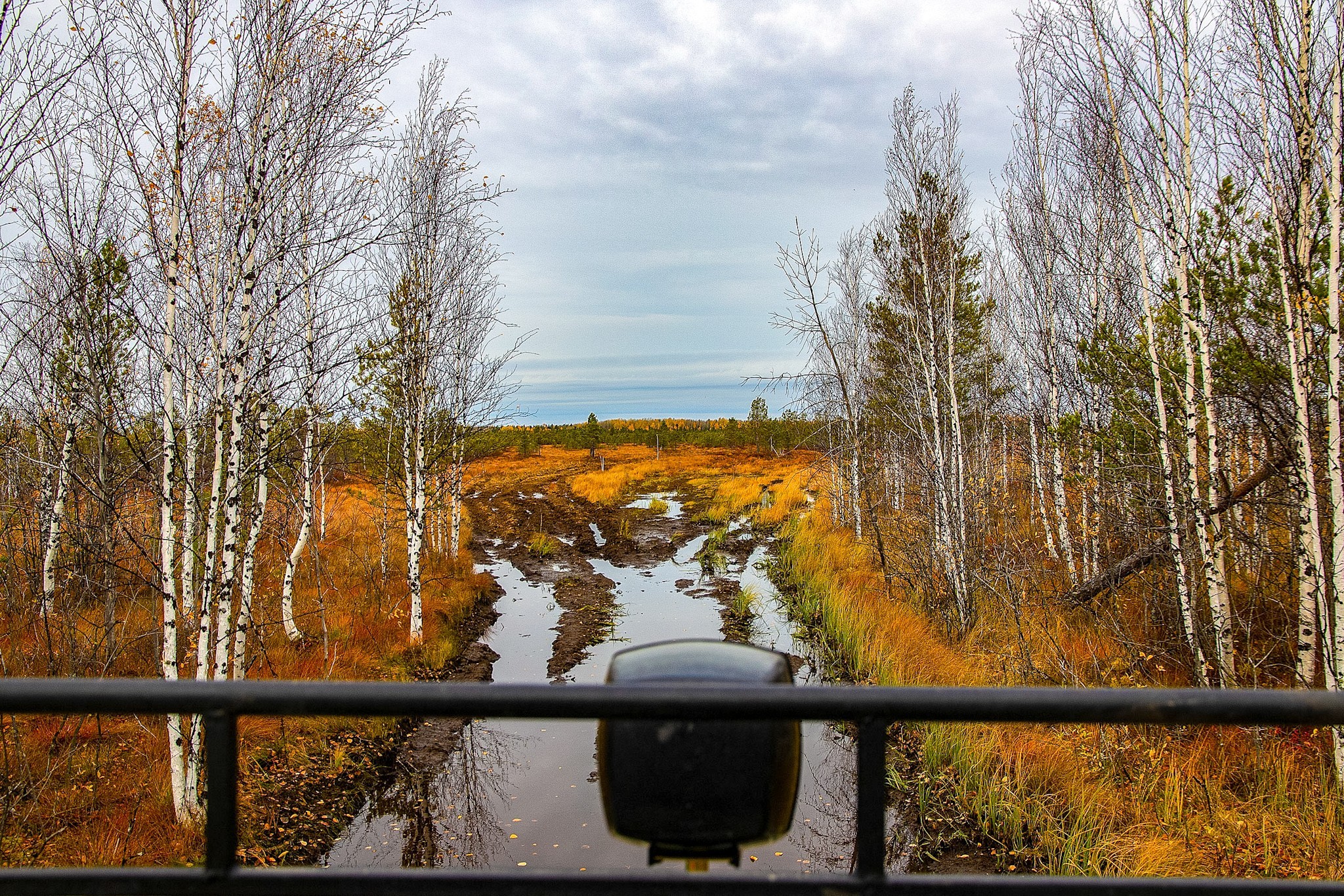 Bog. - My, Beginning photographer, Swamp, Swamp Walker, Lake, Off road, Canon 70d, Longpost