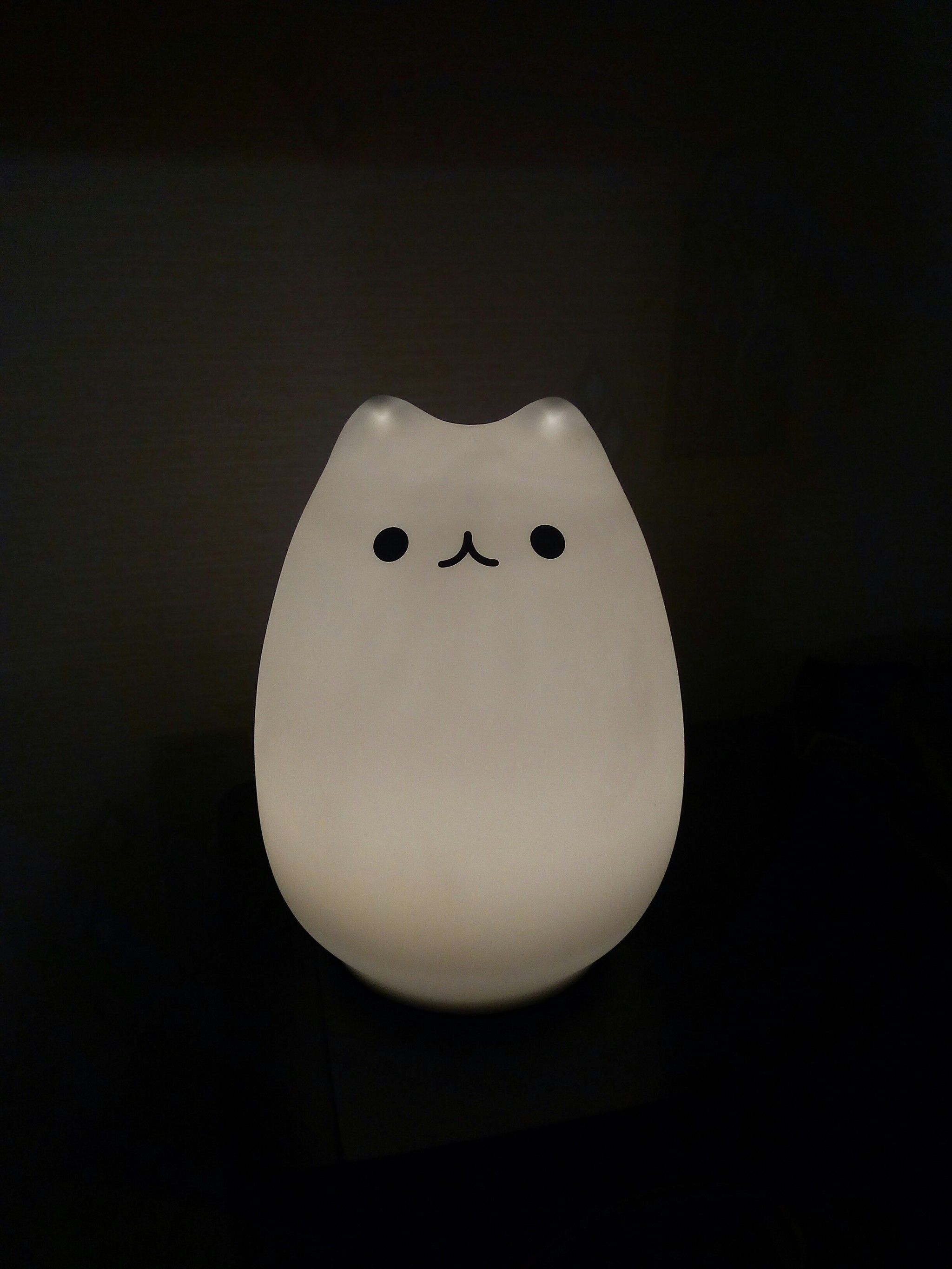 Real cat lamp :-) - My, Cat with lamp, Hardened, Observation, No rating