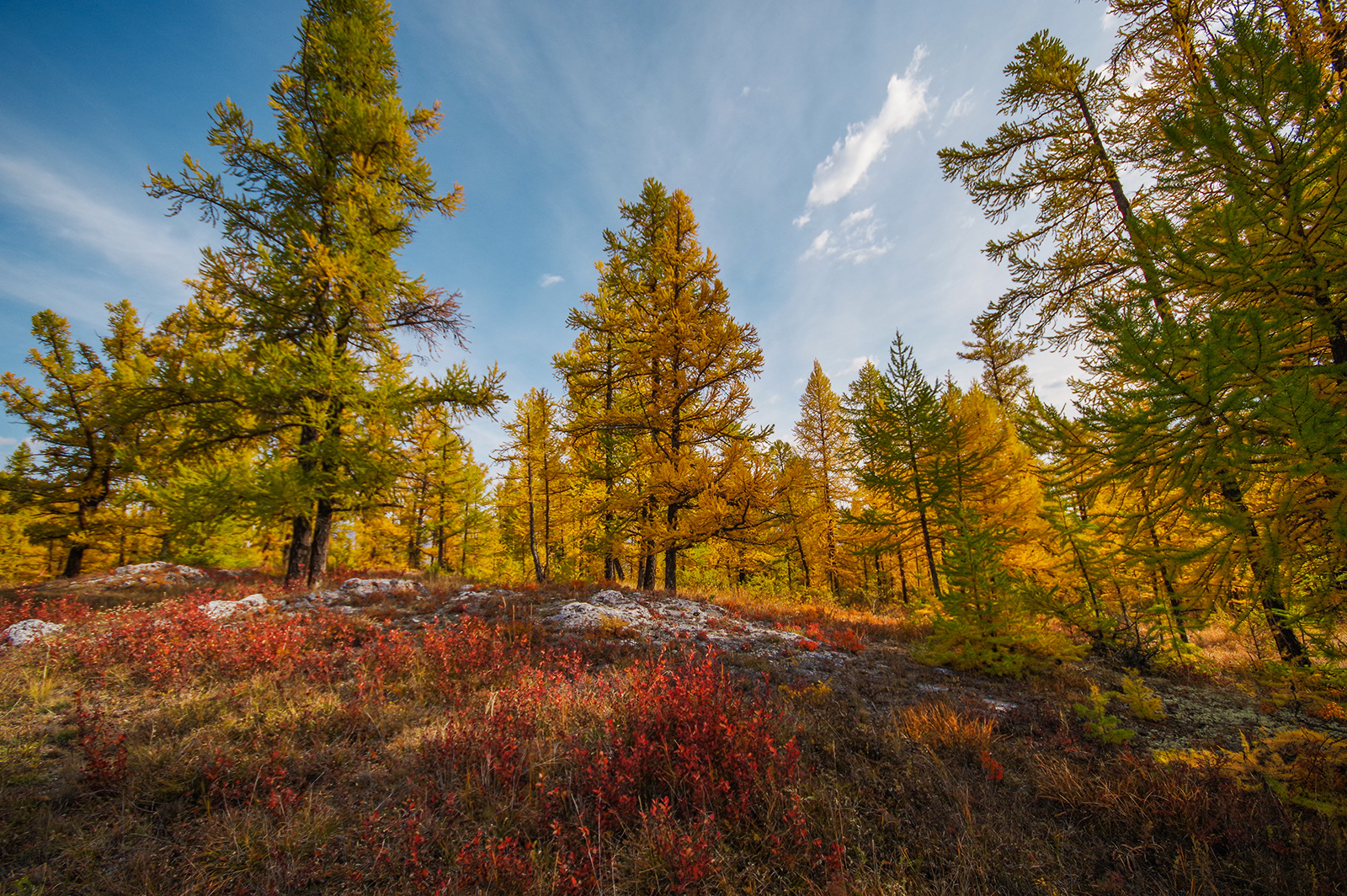 The nature of Altai, strange and beautiful - My, Mountain Altai, Holidays in Russia, Travels, The photo, The mountains, Leisure, Michael, Longpost, Altai Republic