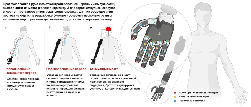 По-простому о нейроинтерфейсах. 1 часть - Нейроинтерфейс, Киберпанк, Бионика, Трансгуманизм, Экзо-Скелет, Мозг, Длиннопост, Экзоскелет