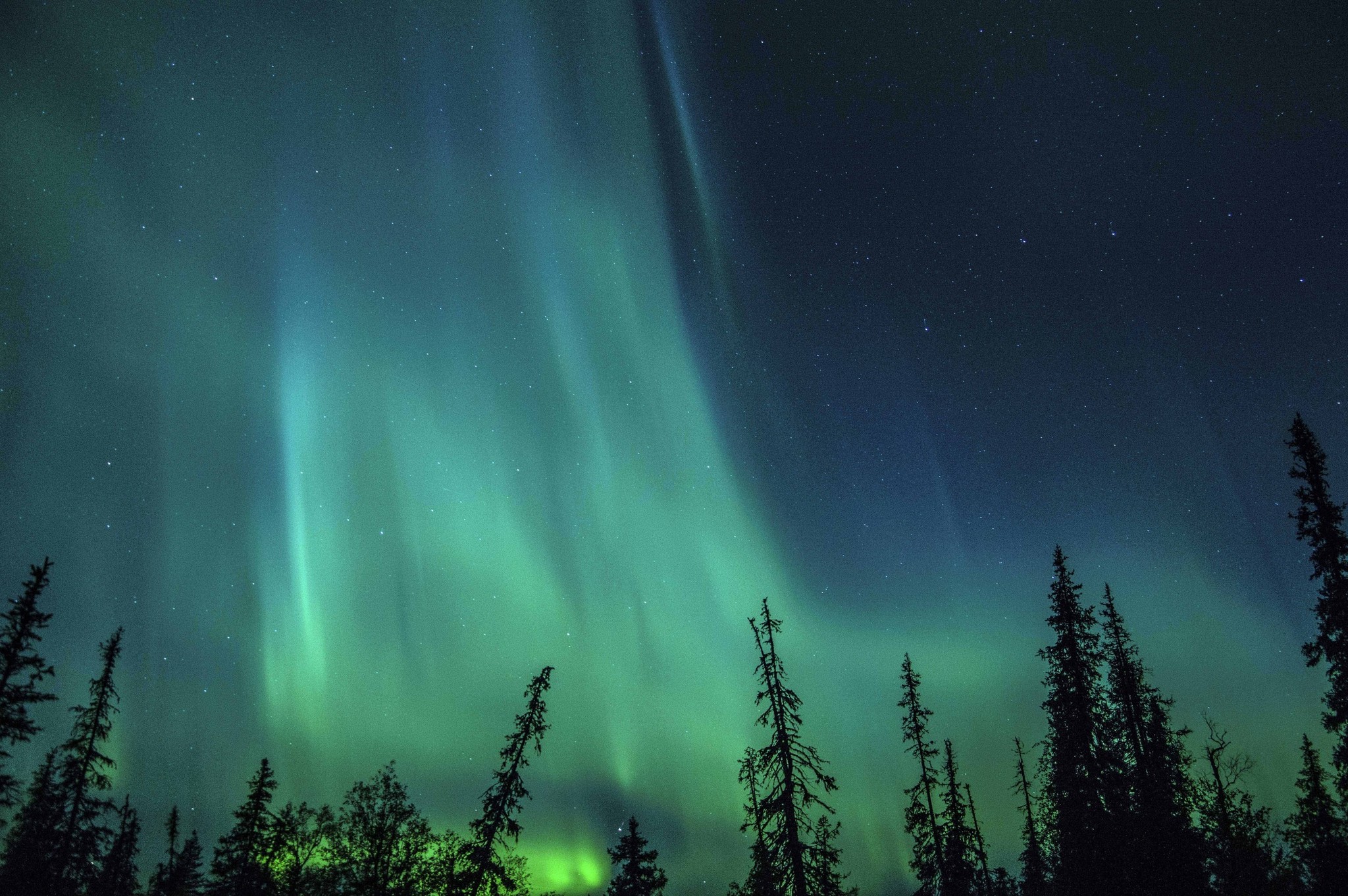 Polar lights on the Kola Peninsula - My, Polar Lights, Kola Peninsula, The photo, 2018