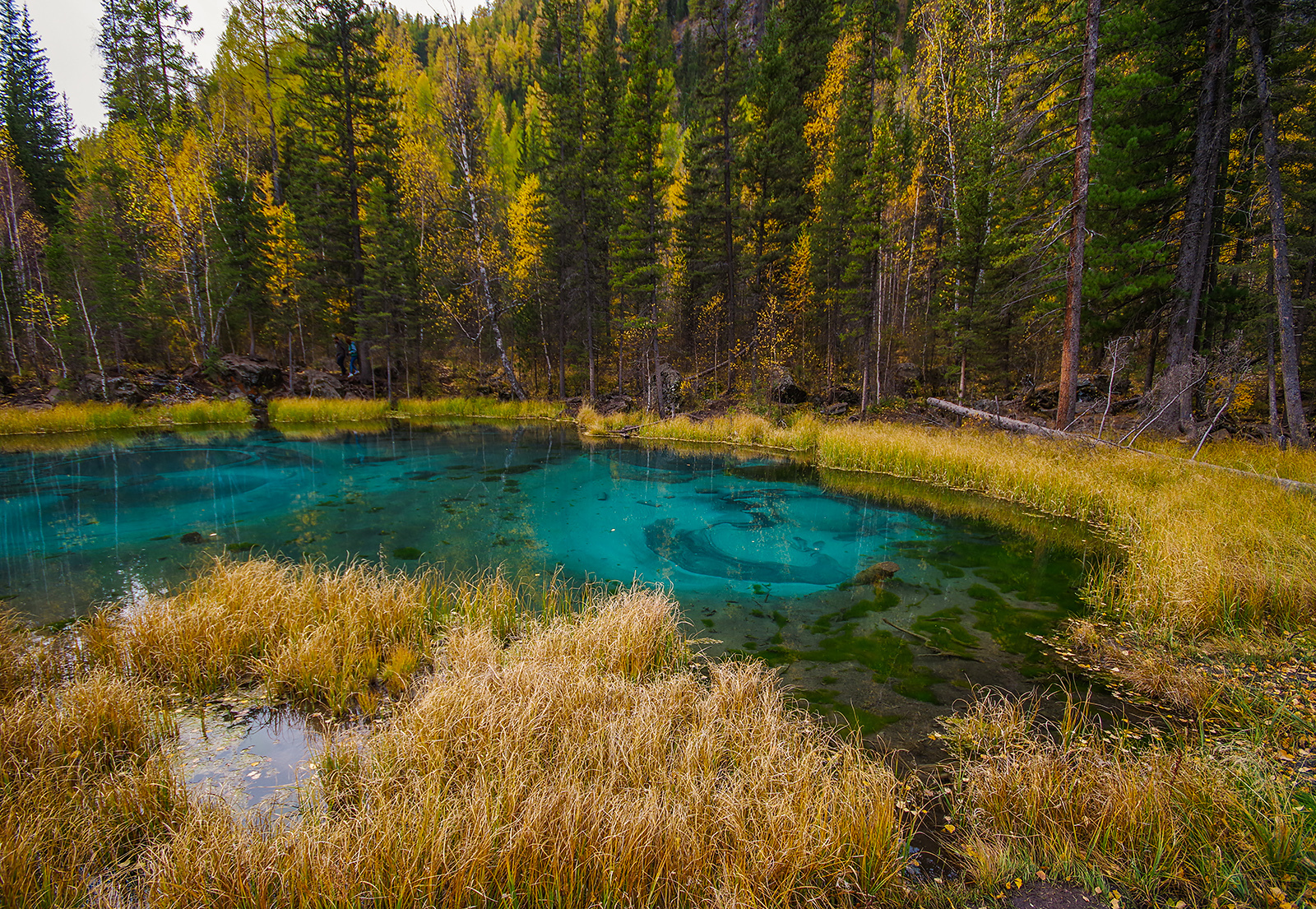 Geyser lake of Altai - My, Mountain Altai, Geyser Lake, Holidays in Russia, Camping, Travels, The photo, Michael, Longpost, Altai Republic