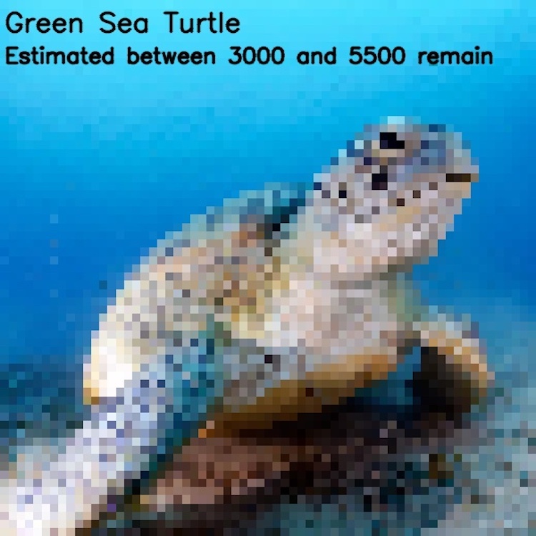 The number of pixels is equal to the number of endangered species - wildlife, Endangered species, Pixel, Comparison, Longpost