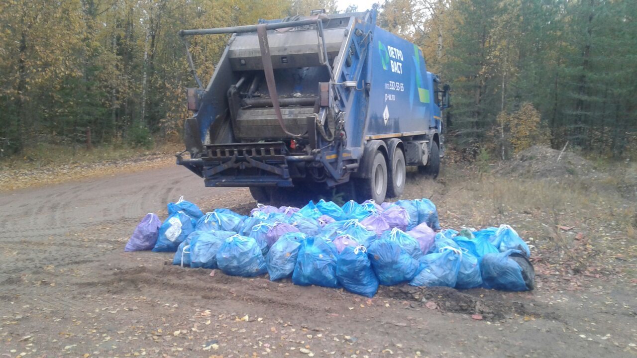 The forest cleaning marathon is over. - My, Clean forest, Cleaning, Chistoman, Pure Man's League, Protection of Nature, Separate garbage collection, Garbage, Ecology, Longpost