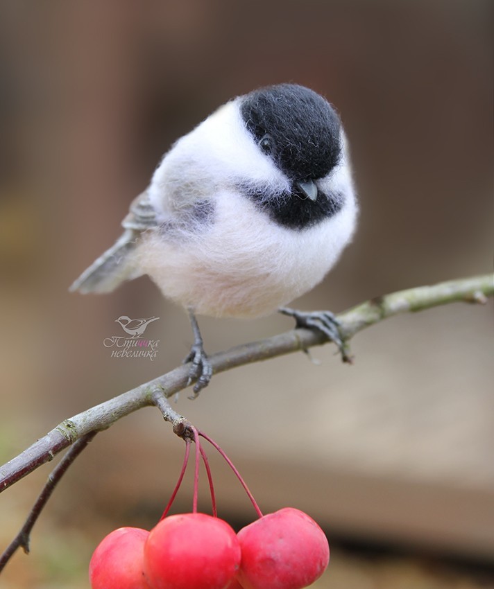 Brown-headed nut. Dry felting from wool. - My, Dry felting, Needlework without process, Birds, Needlework, Creation, Author's toy, Longpost