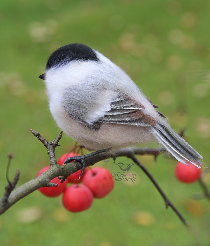 Brown-headed nut. Dry felting from wool. - My, Dry felting, Needlework without process, Birds, Needlework, Creation, Author's toy, Longpost