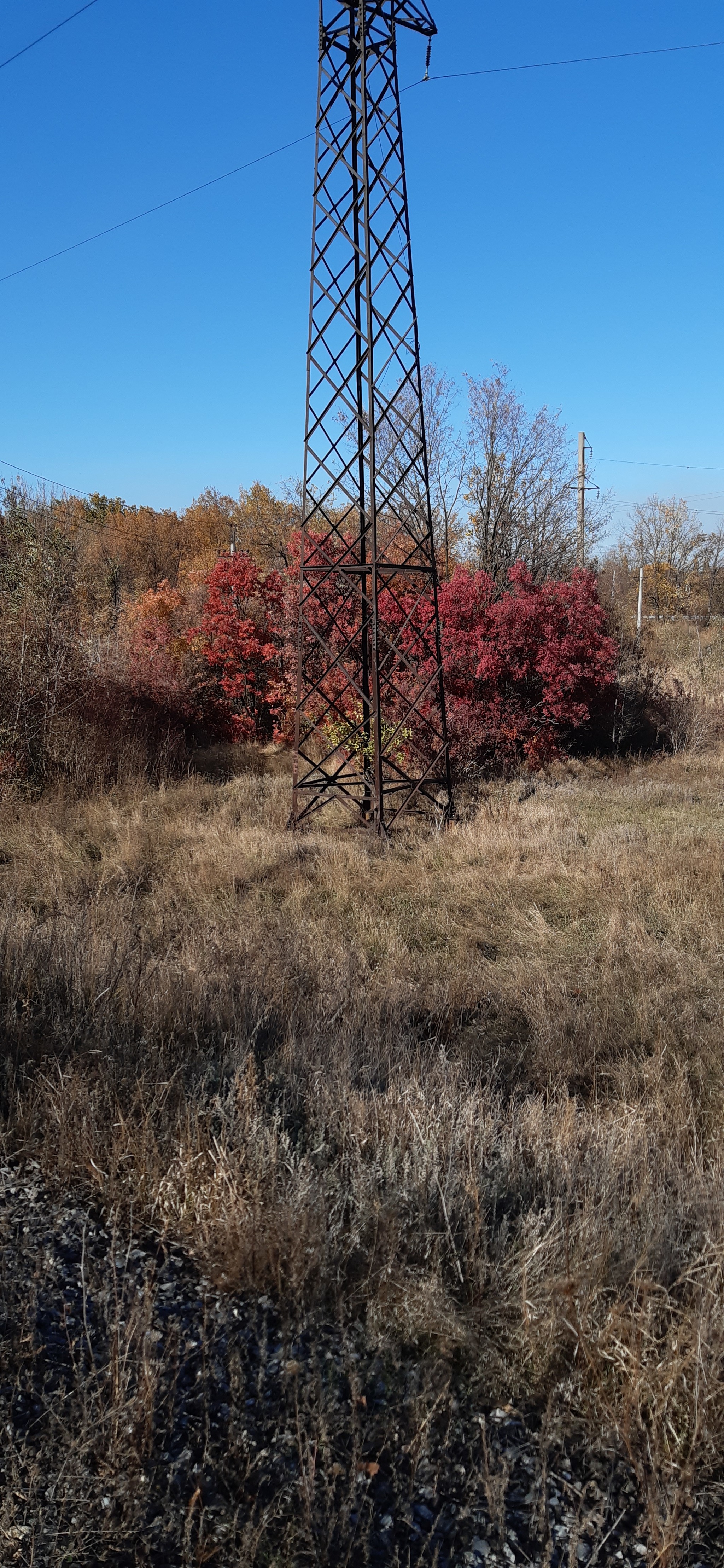 Autumn Donbass (2) - My, Photo on sneaker, Mobile photography, Autumn, Donbass, Longpost