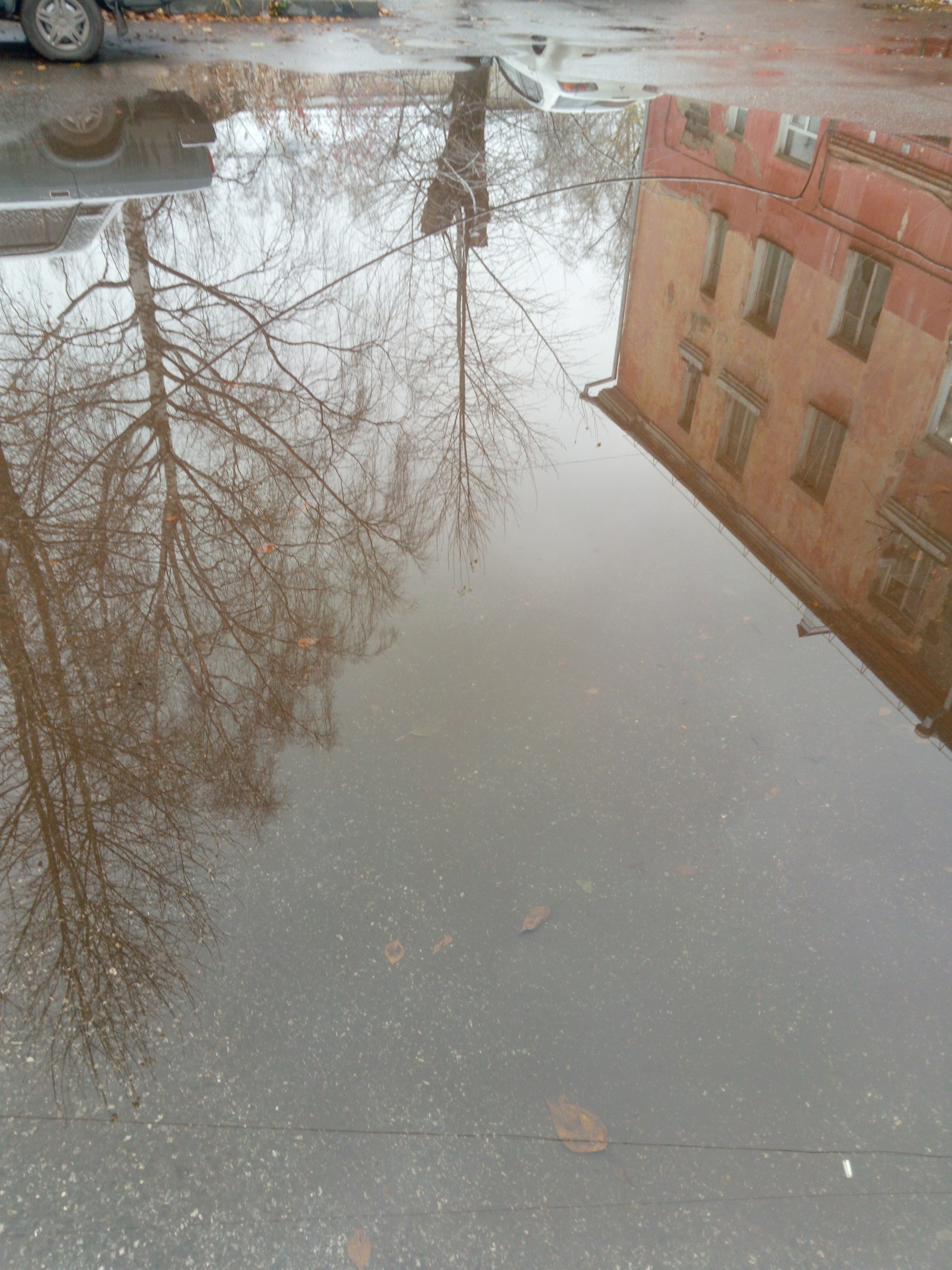 Puddle and some first snow - My, Tomsk, Photo on sneaker, , Autumn, Longpost