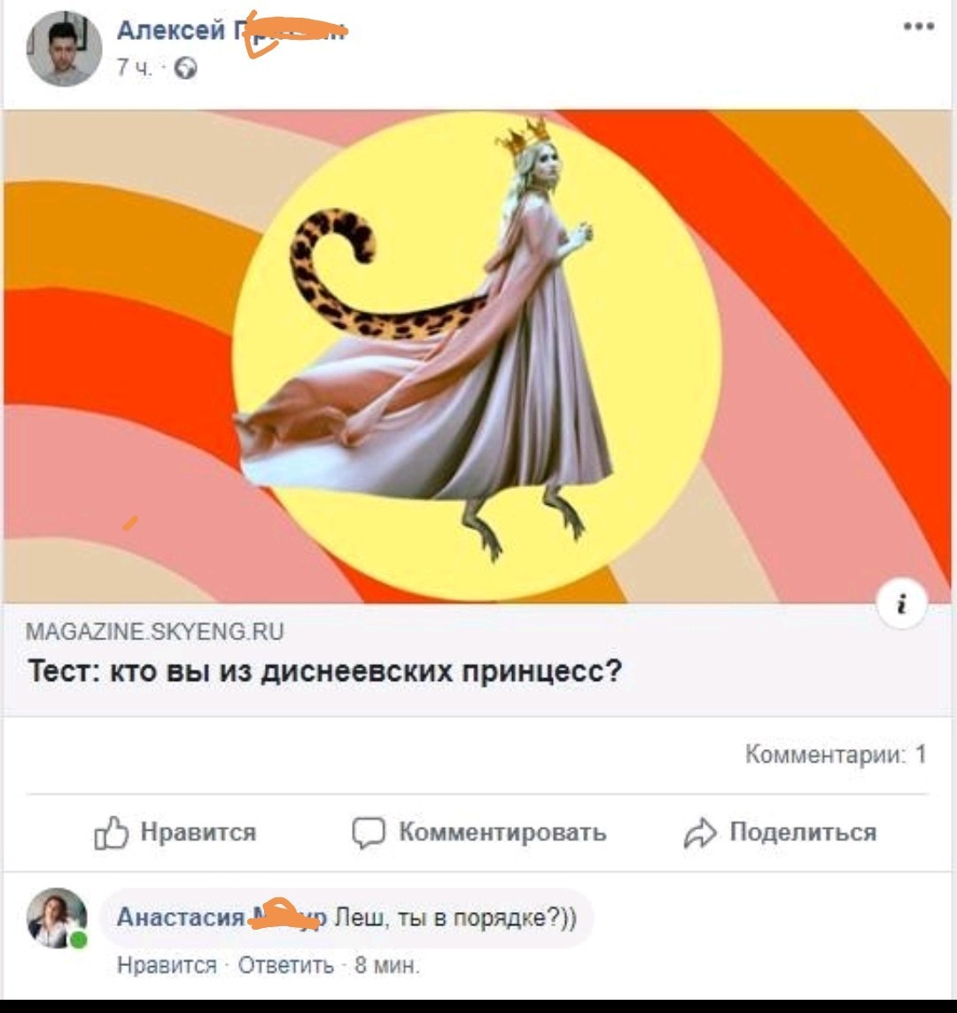 Когда хочешь быть принцессой, но ты всего лишь Лёша - Facebook, Комментарии, Социальные сети, Ирония, Скриншот