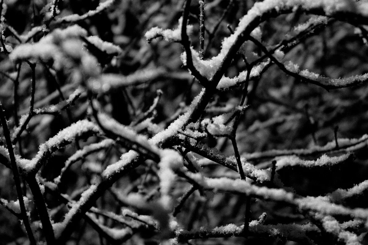 First snow - My, Blues, Snow, Night, Black and white, Black and white photo, Longpost