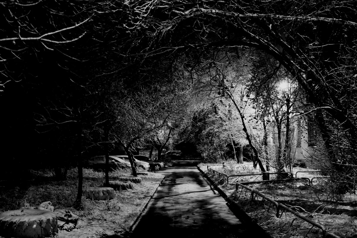 First snow - My, Blues, Snow, Night, Black and white, Black and white photo, Longpost