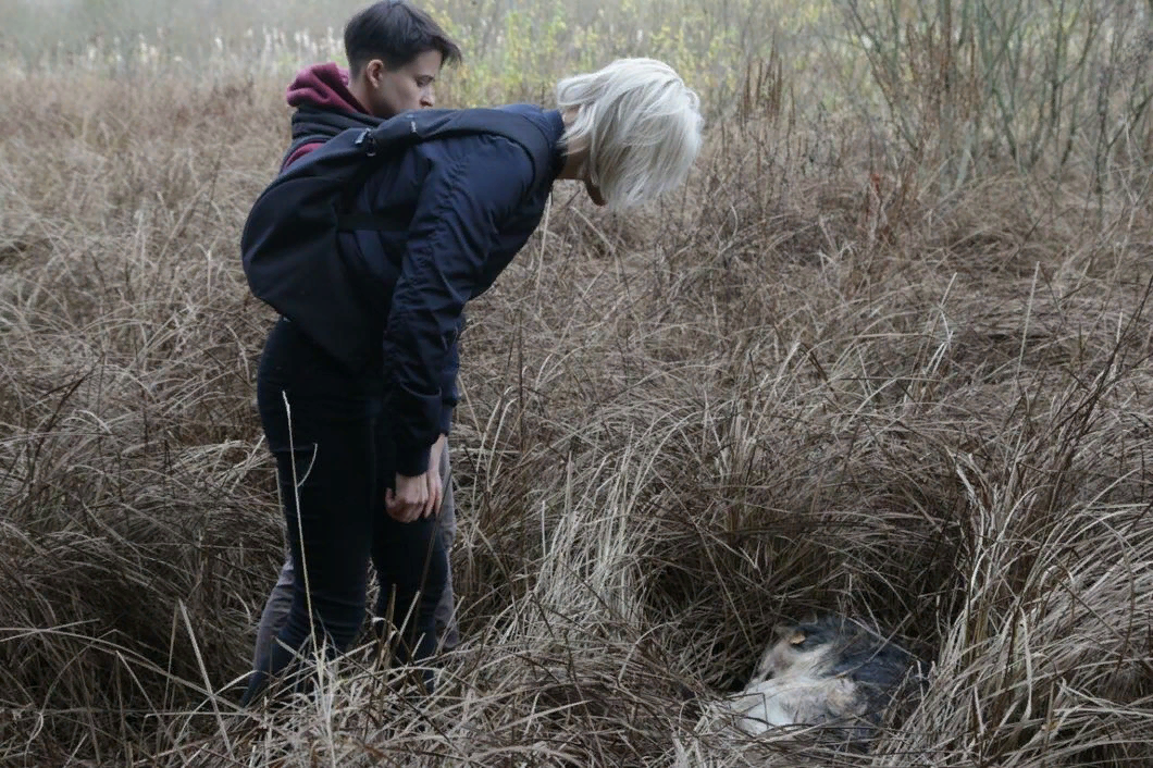 The hunters beat the animal rights activists at the baiting station. - Flailing, Hunter, Police inaction, Animal protection, Illegal business, Video, Longpost