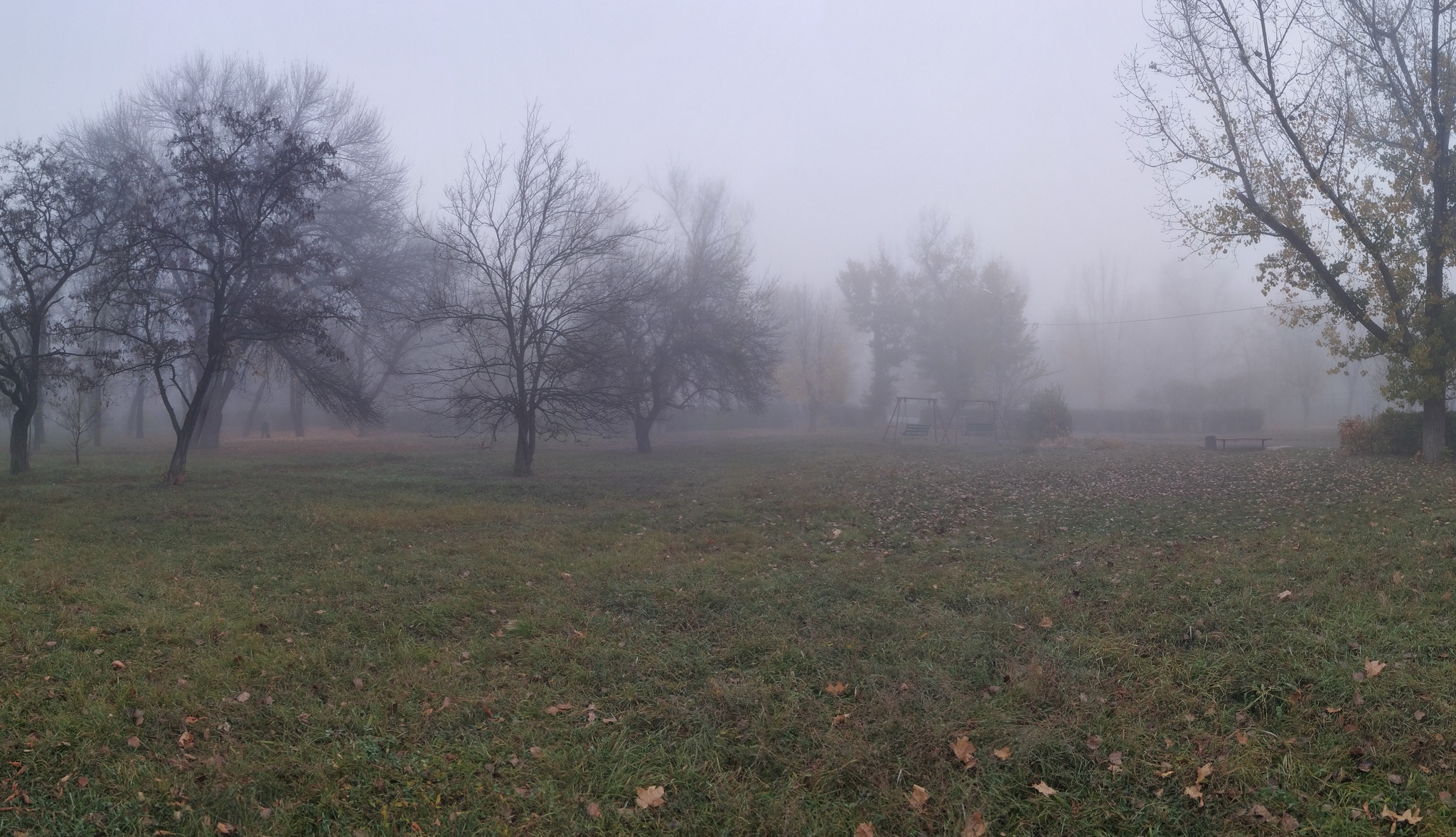 Silent Hill is coming. - My, Fog, Landscape, Silent Hill, Longpost