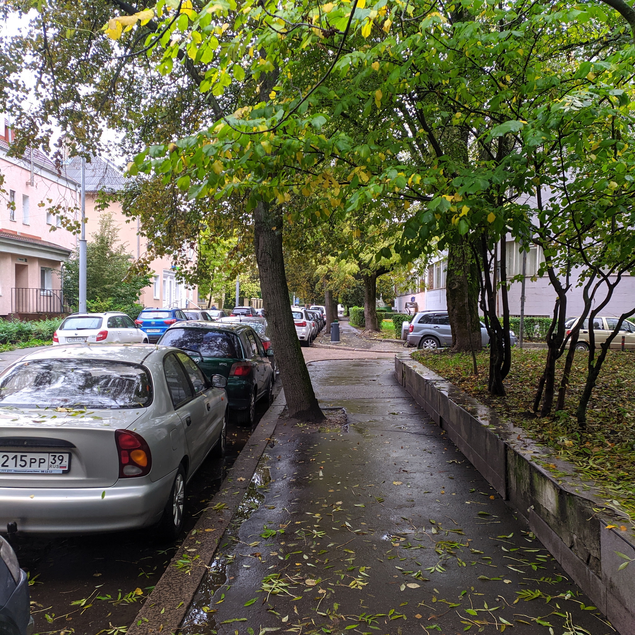 I wander around the city alone - Kaliningrad - My, Kaliningrad, Photobritish, Koenigsberg, Video, Longpost