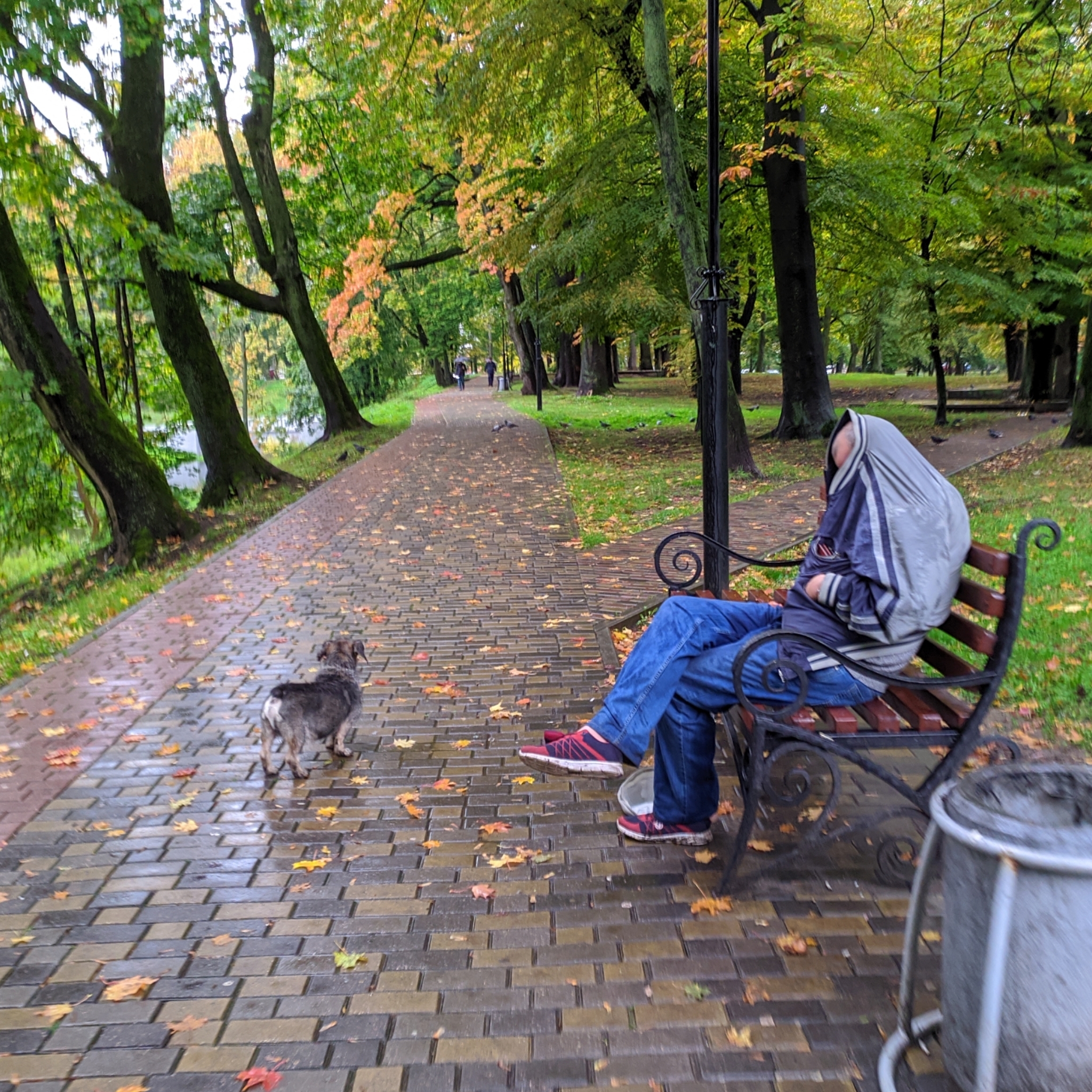 I wander around the city alone - Kaliningrad - My, Kaliningrad, Photobritish, Koenigsberg, Video, Longpost