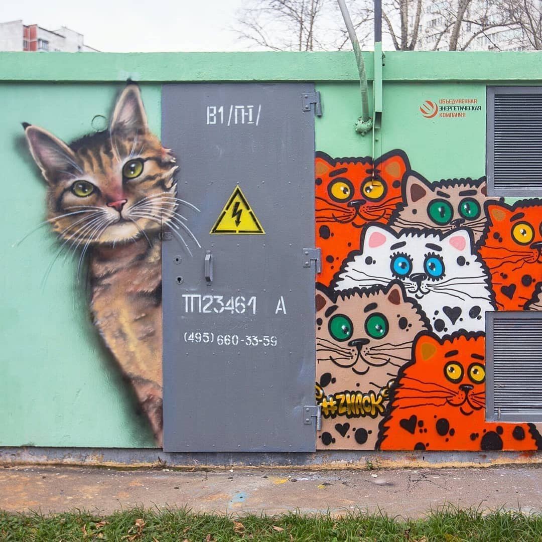 граффити кот